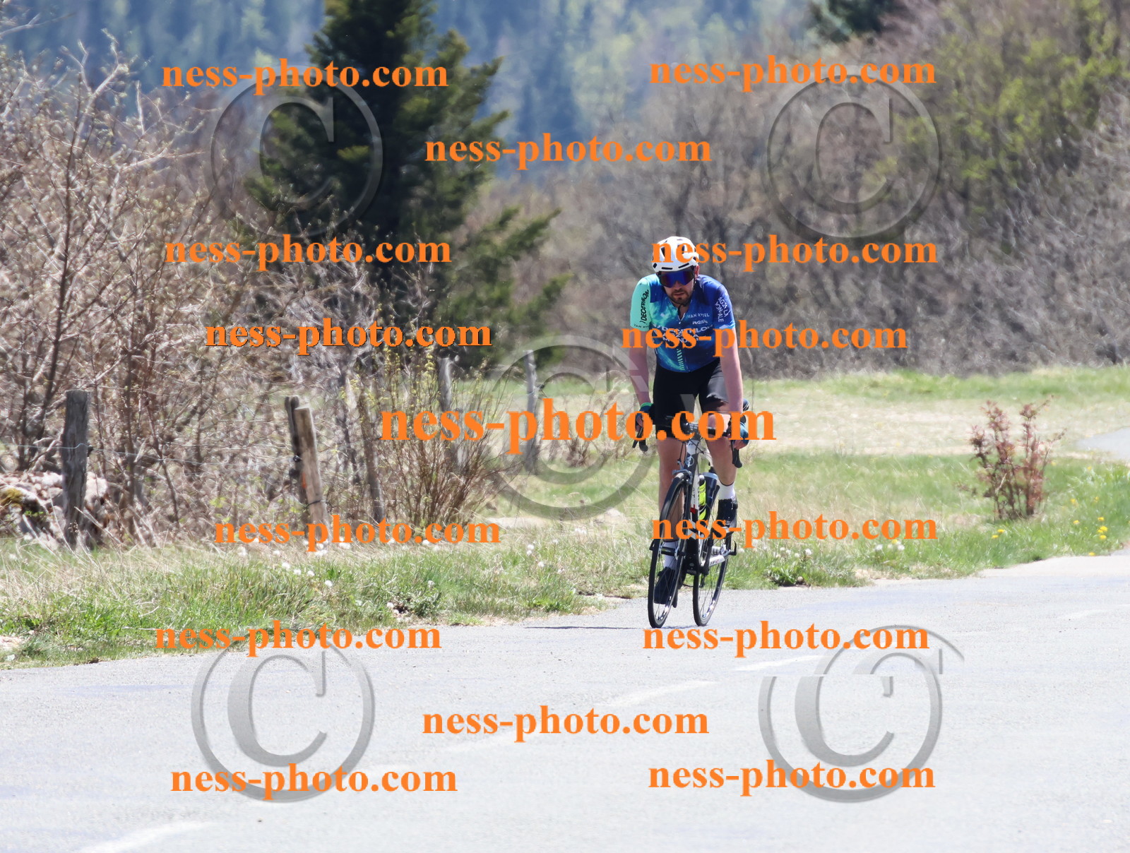 Col du Grand Colombier (822).JPG