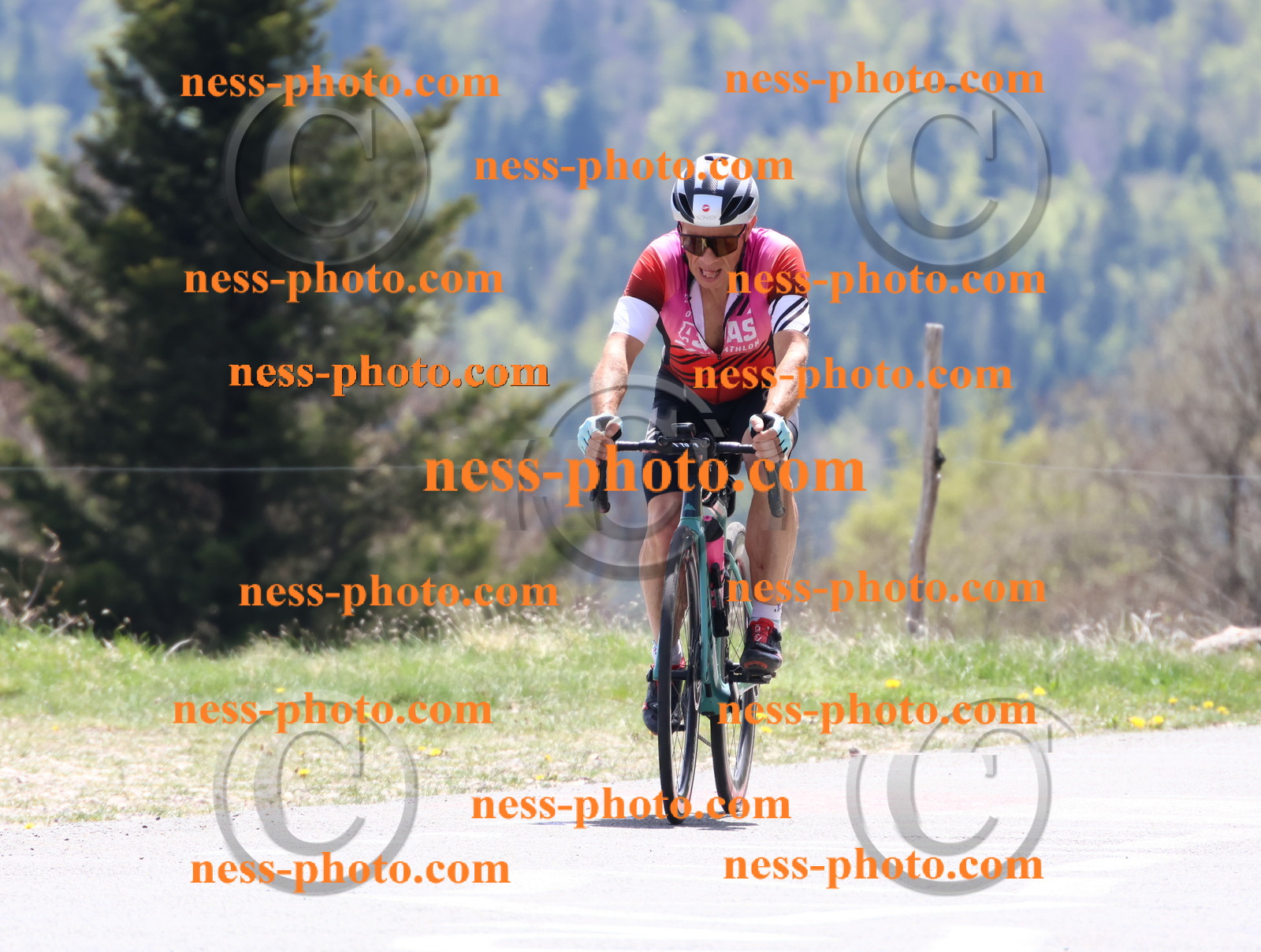 Col du Grand Colombier (618).JPG