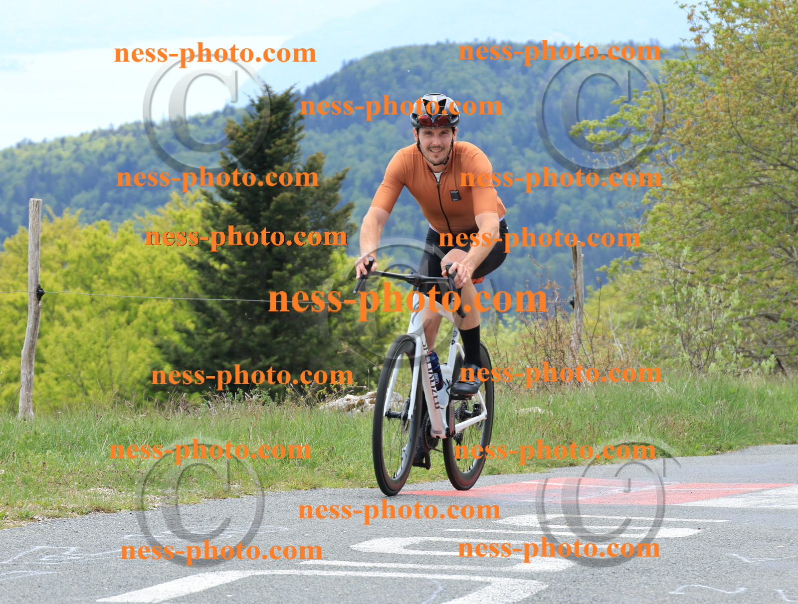 Col du Grand Colombier (435).JPG