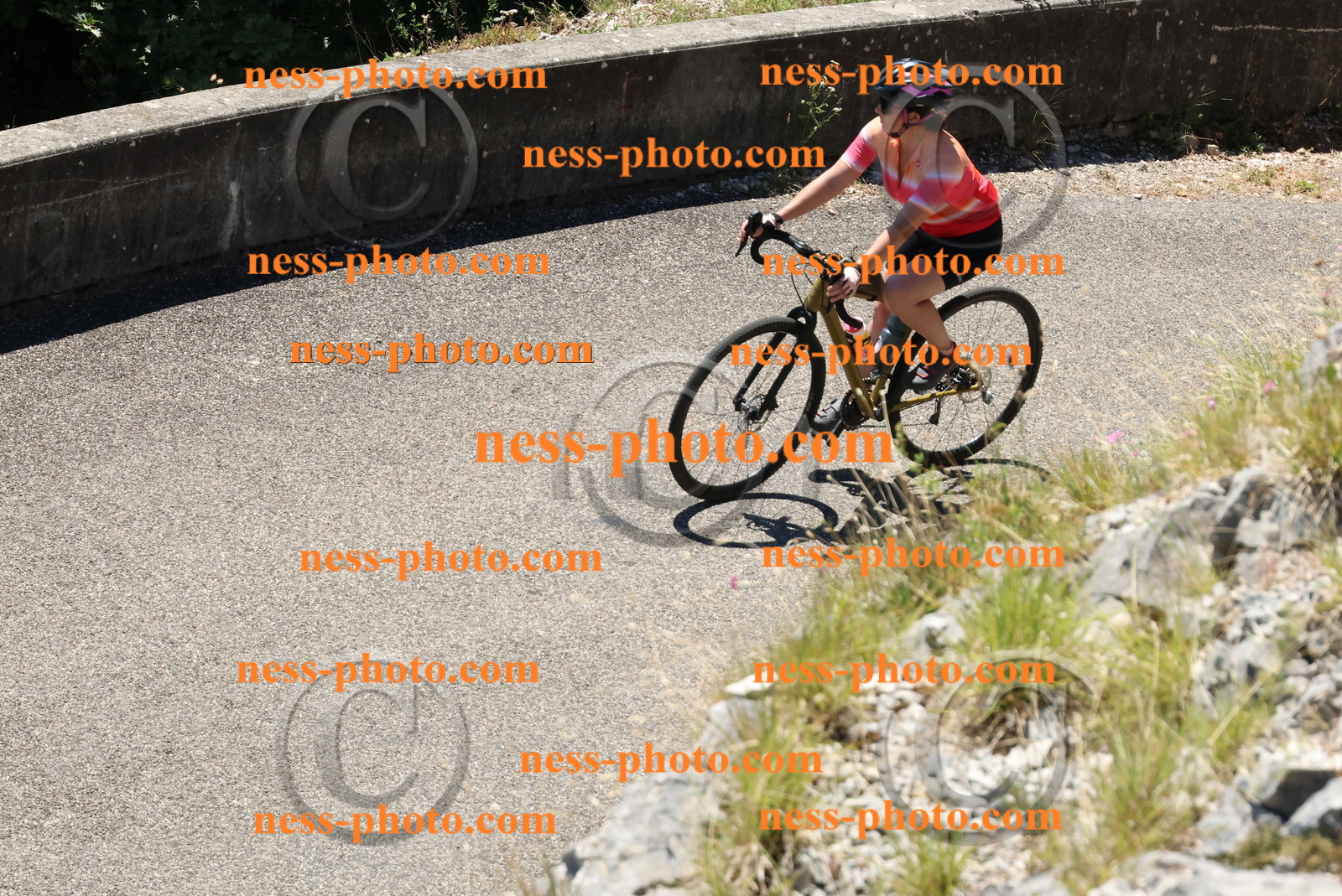 Col du Grand Colombier (689).JPG