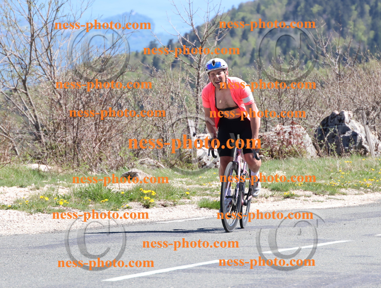 Col du Grand Colombier (953).JPG