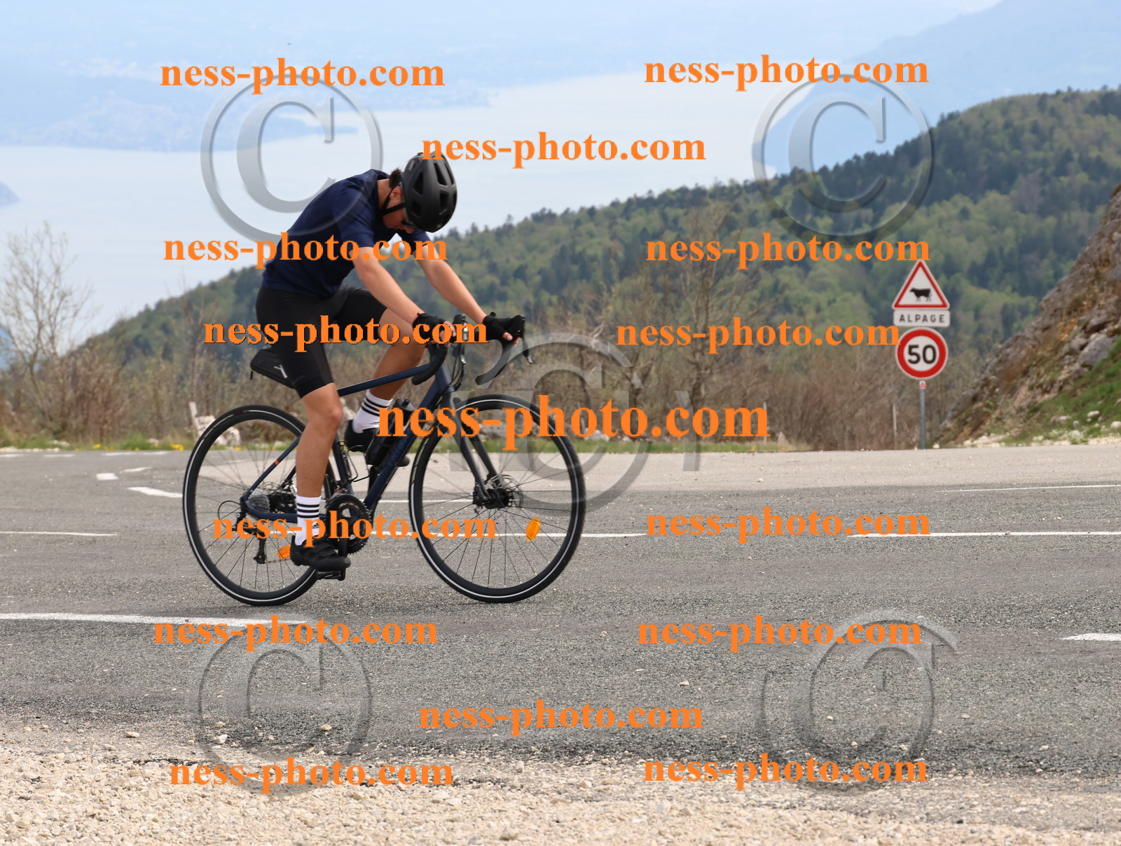 Col du Grand Colombier (1143).JPG