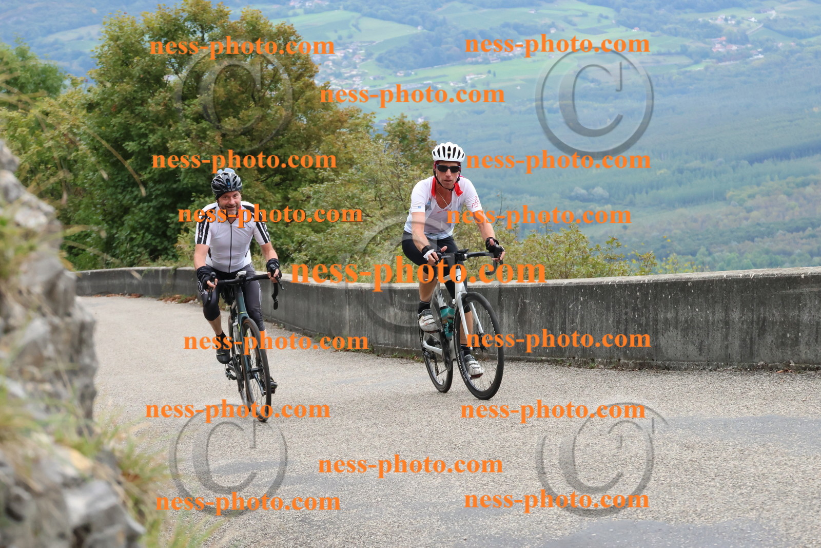 Col du Grand Colombier (567).JPG