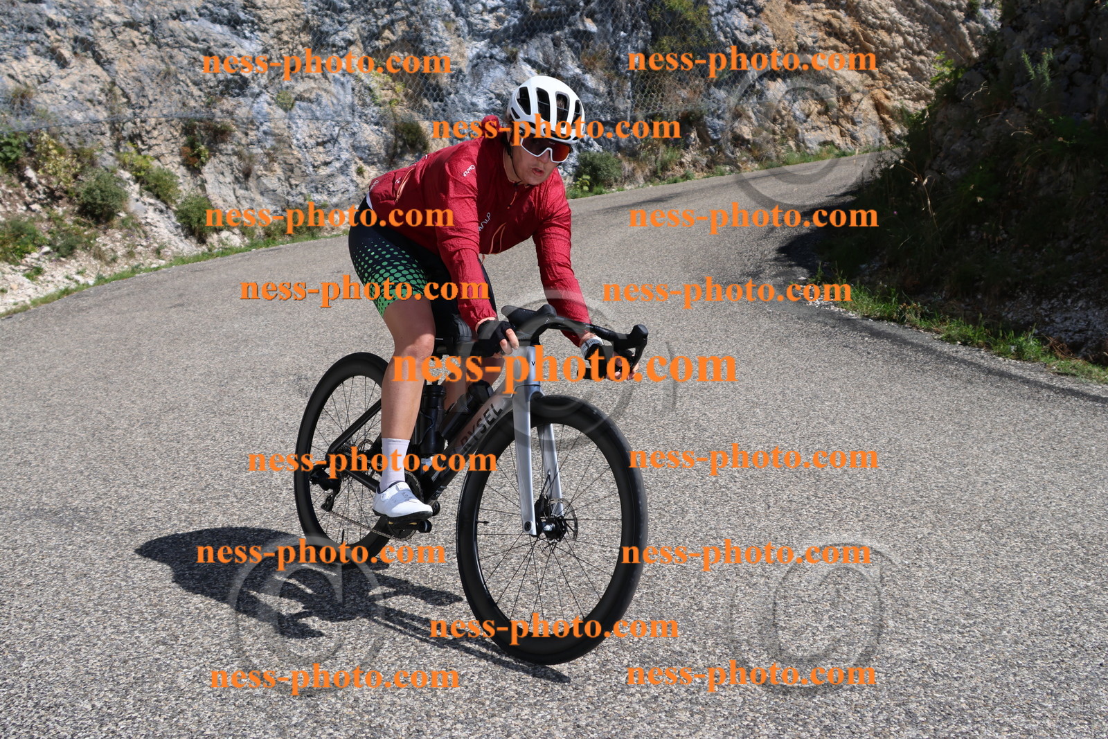 Col du Grand Colombier (179).JPG