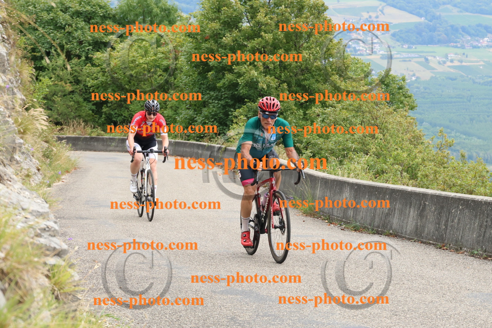 Col du Grand Colombier (358).JPG