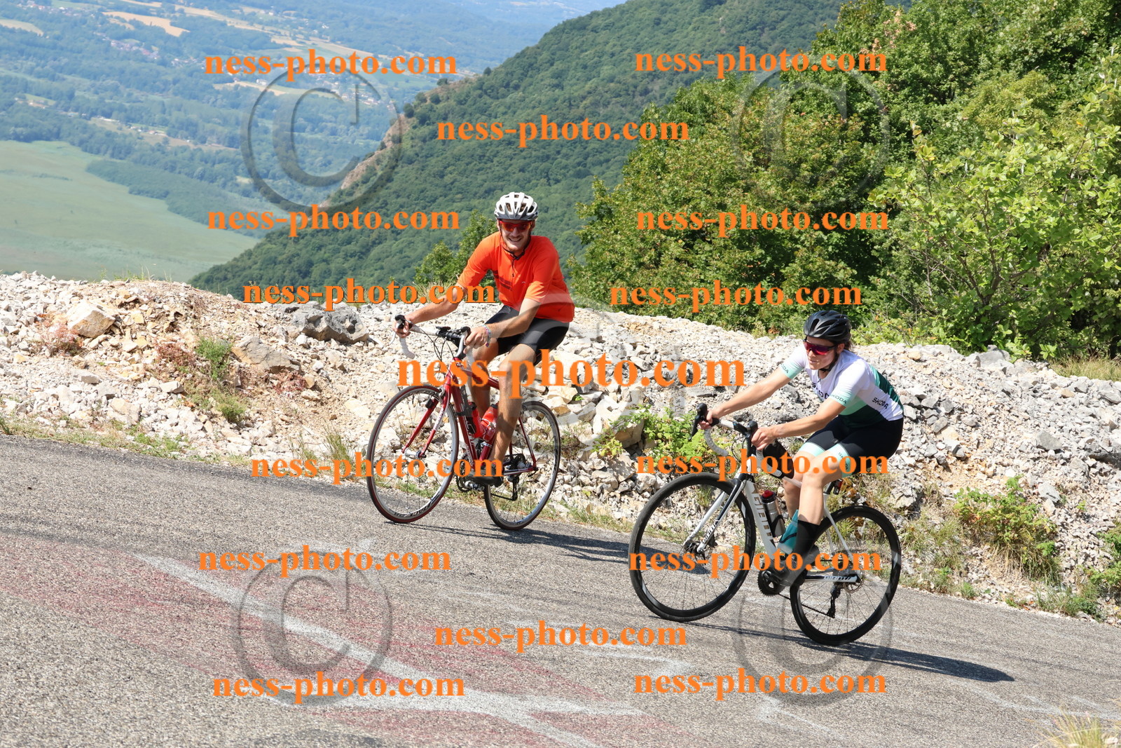 Col du Grand Colombier (277).JPG