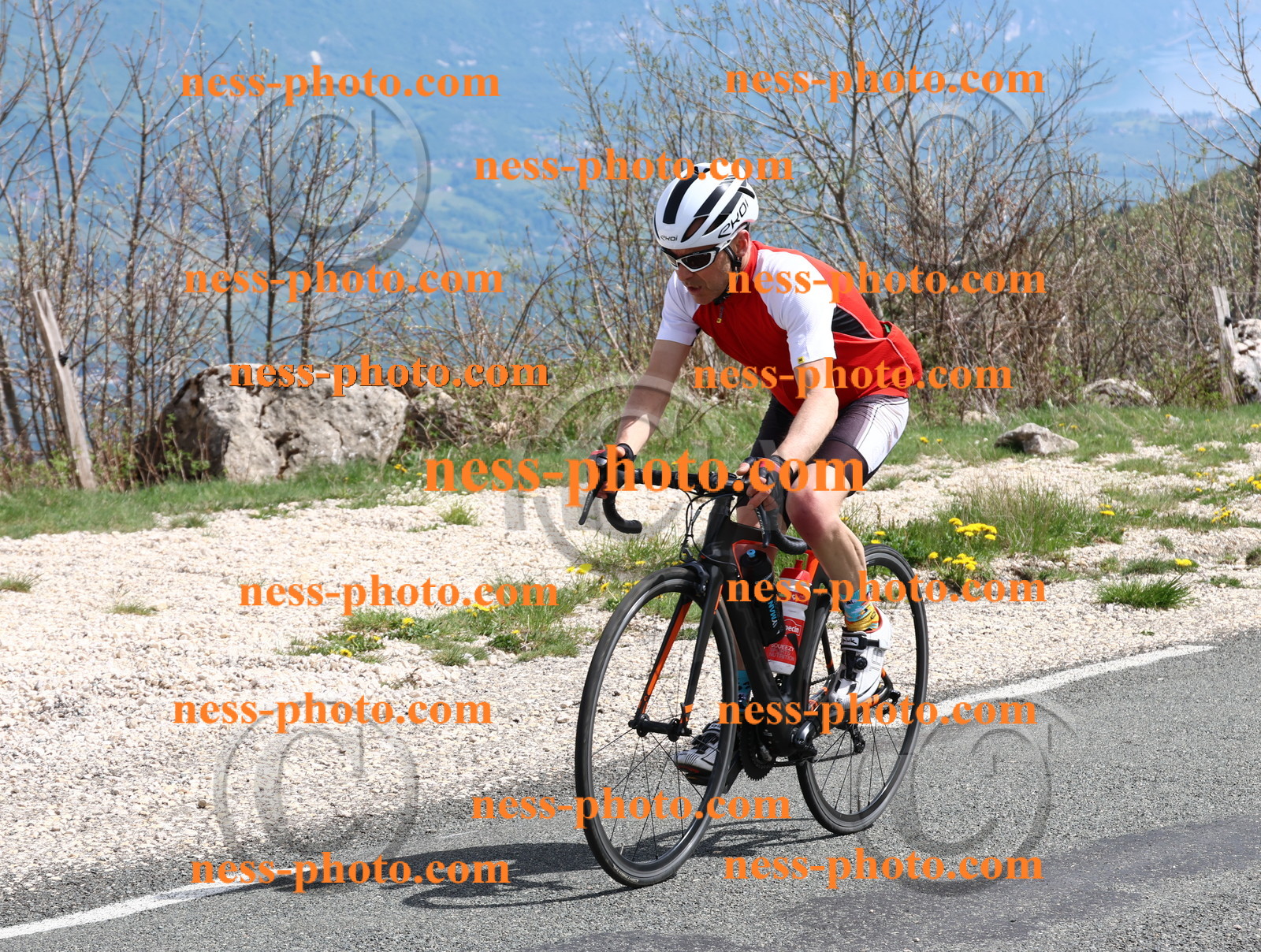 Col du Grand Colombier (980).JPG