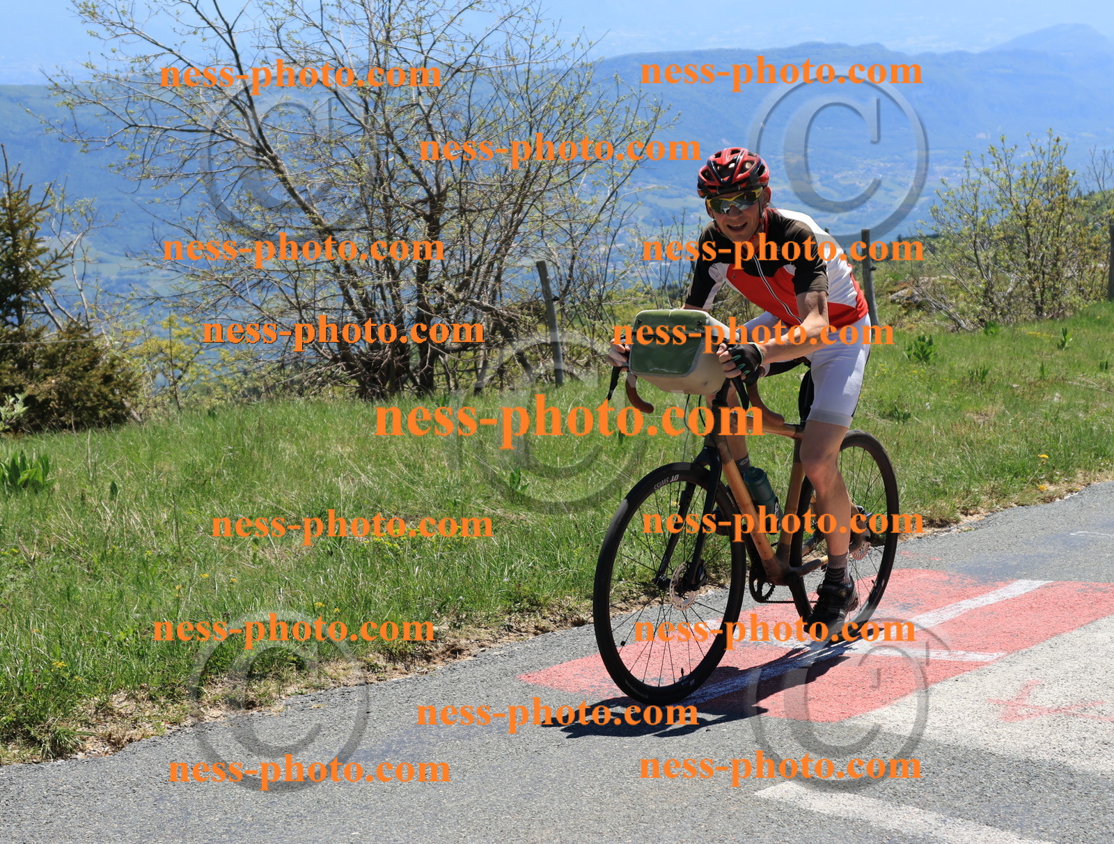 Col du Grand Colombier (335).JPG