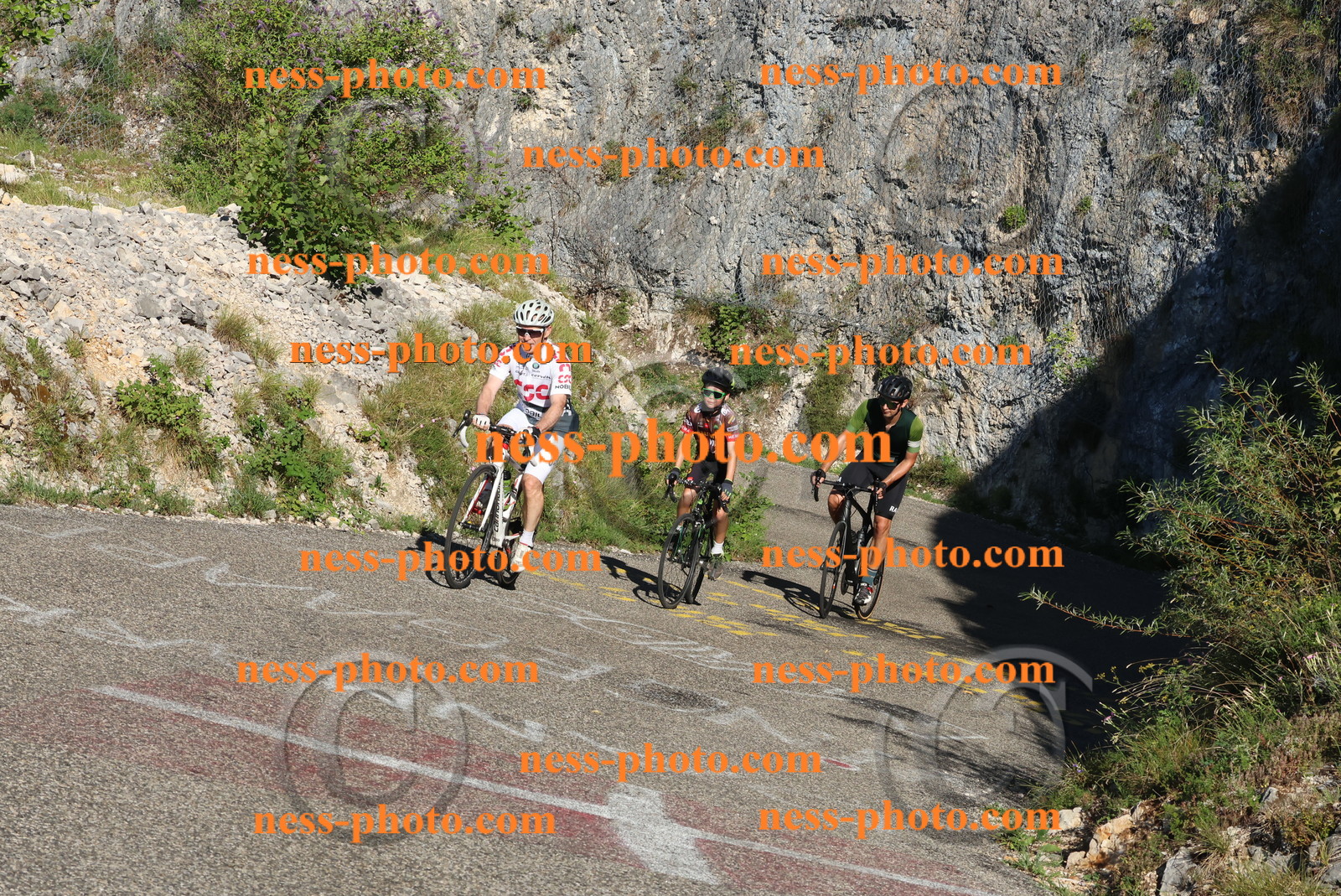 Col du Grand Colombier (153).JPG