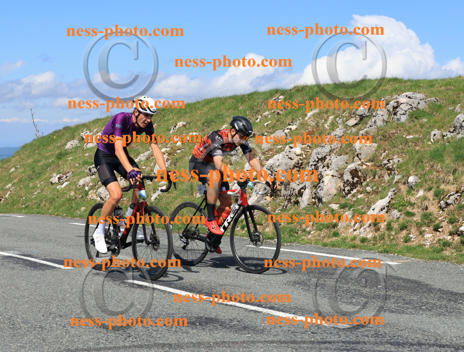 Col du Grand Colombier (867).JPG