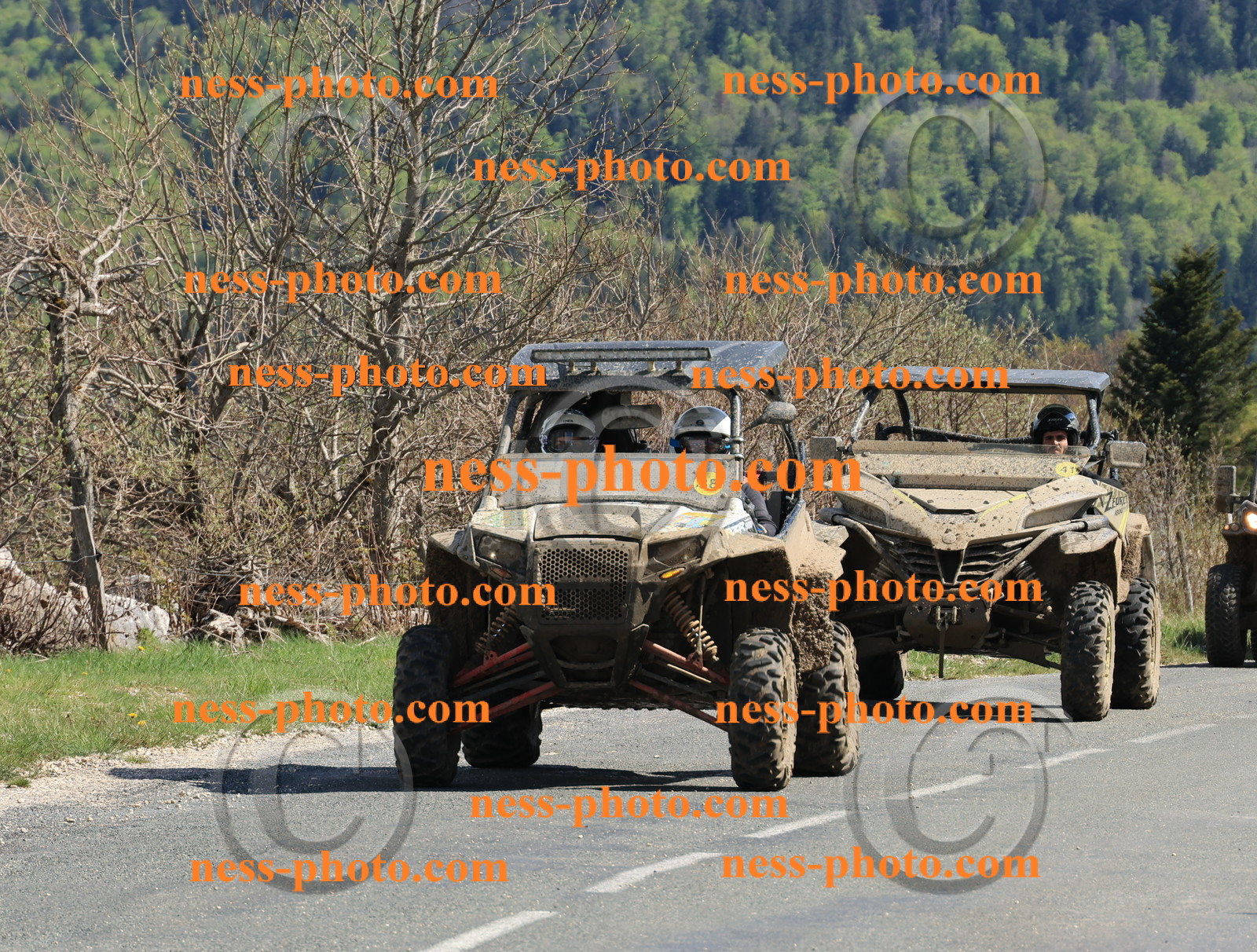 Col du Grand Colombier (214).JPG