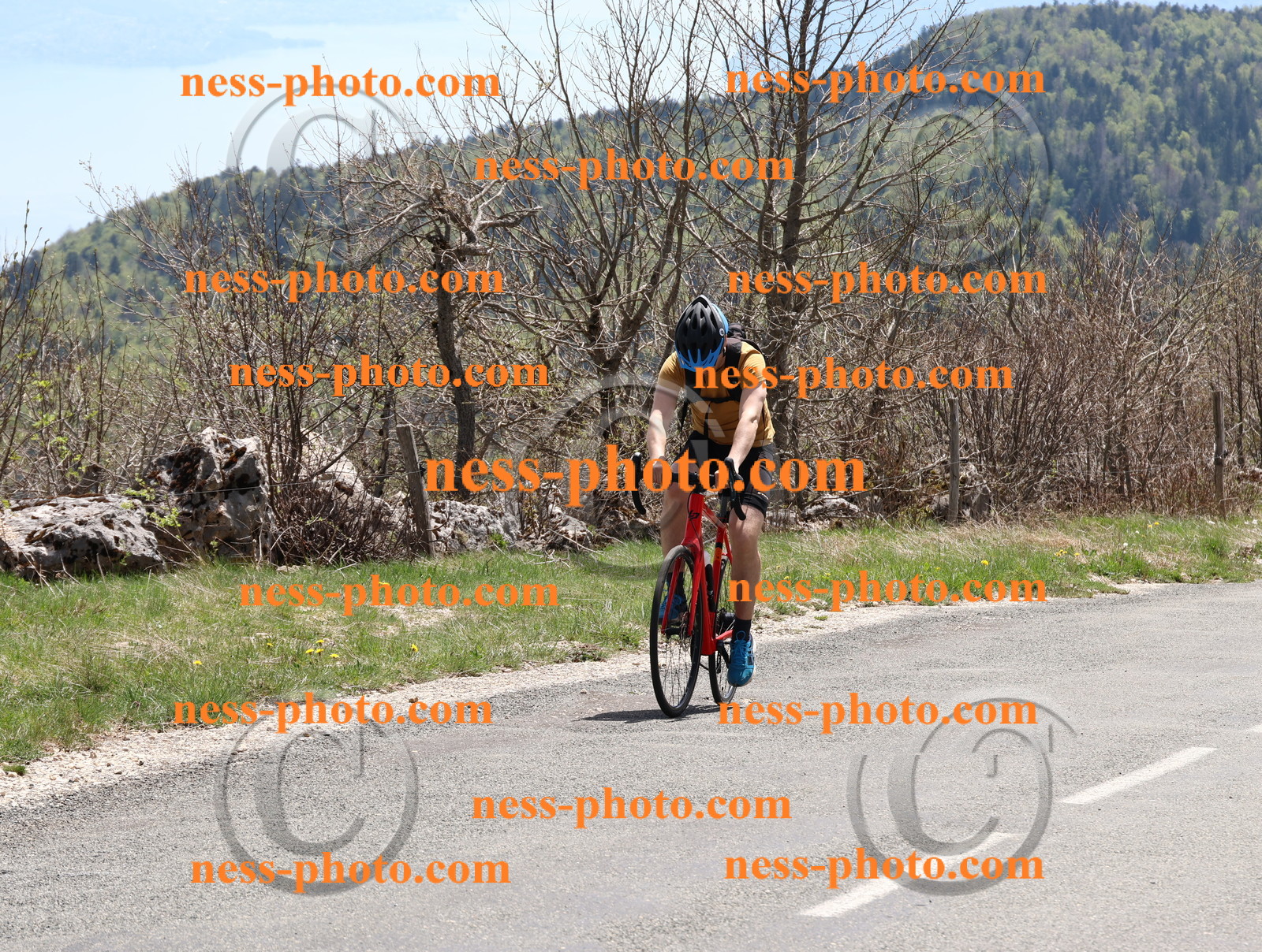 Col du Grand Colombier (686).JPG