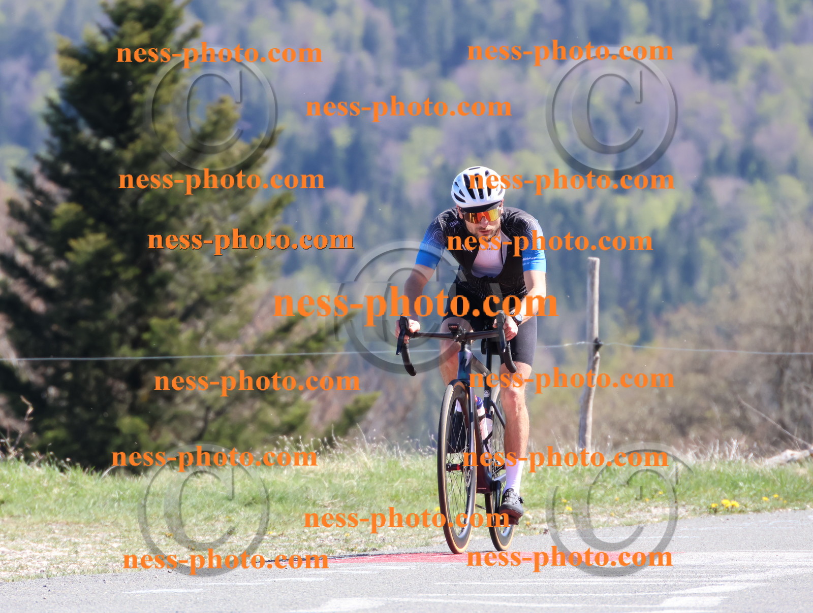 Col du Grand Colombier (1088).JPG