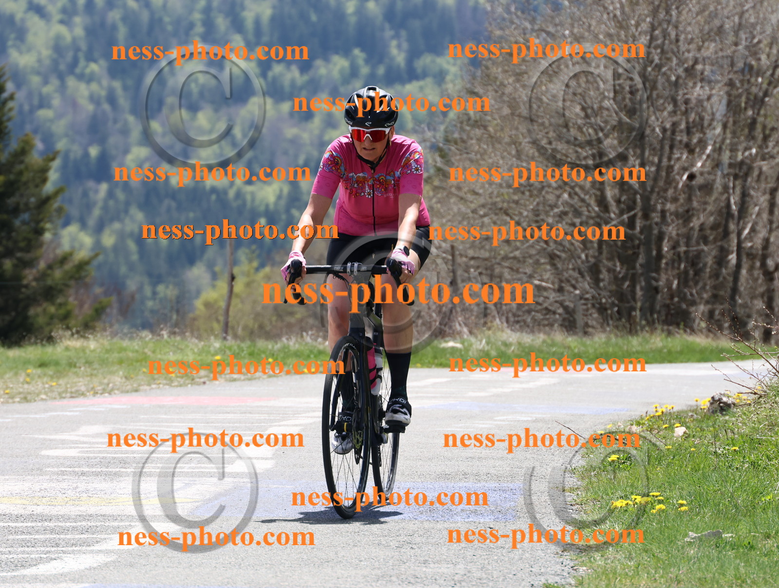 Col du Grand Colombier (631).JPG