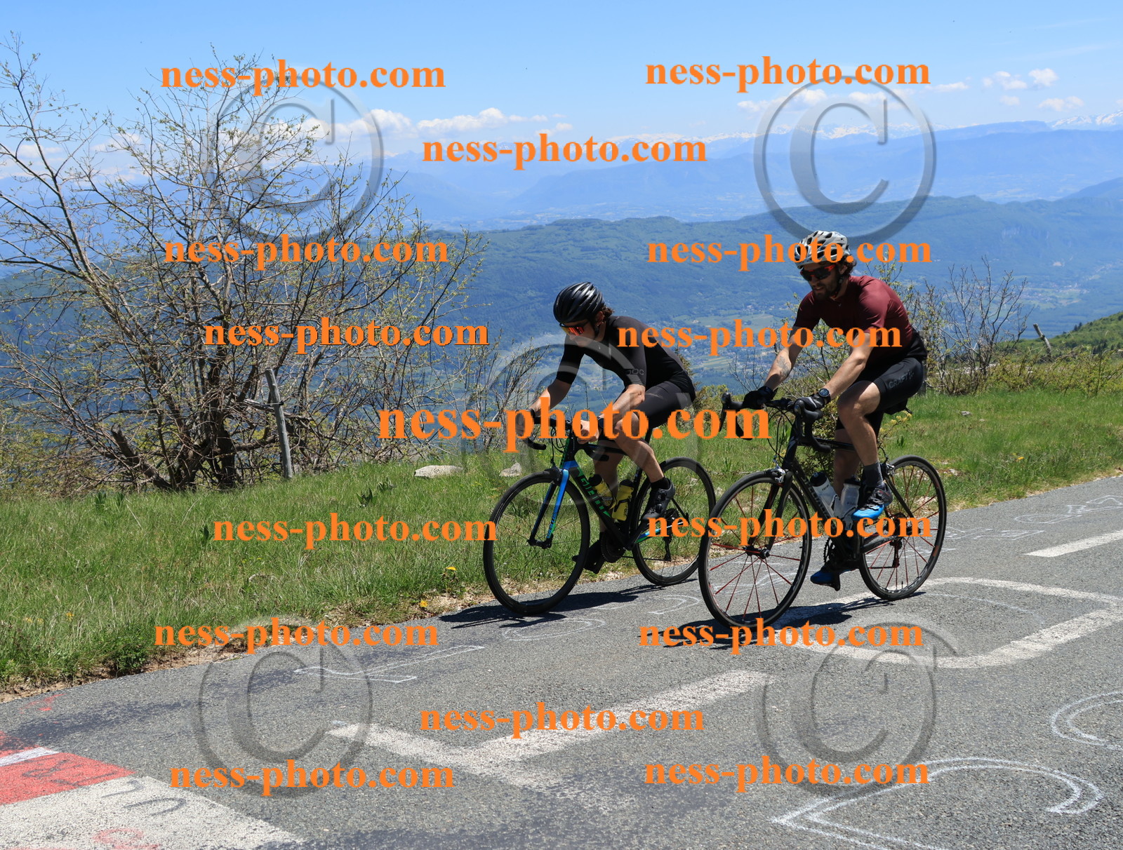 Col du Grand Colombier (449).JPG