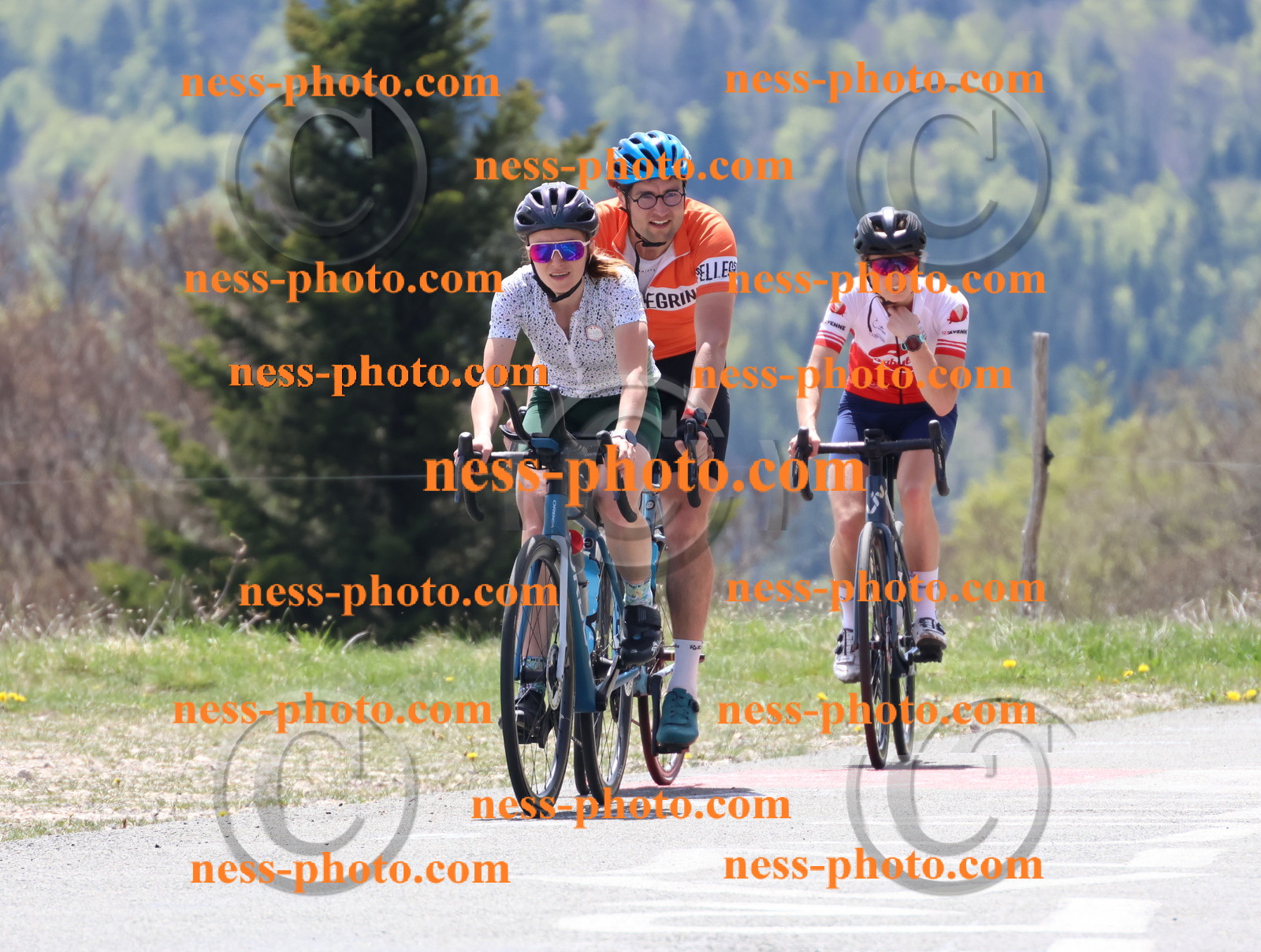Col du Grand Colombier (362).JPG