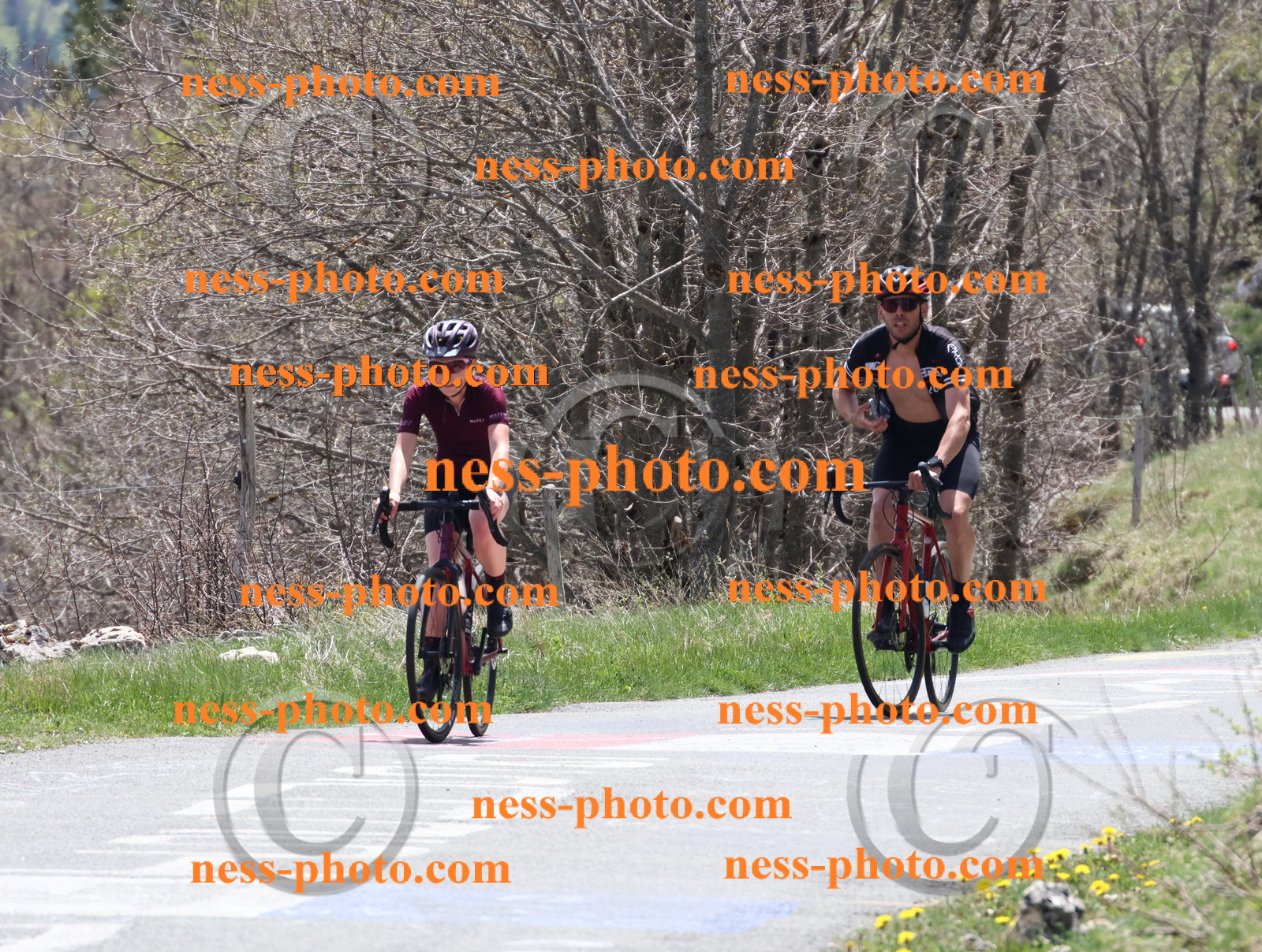 Col du Grand Colombier (639).JPG