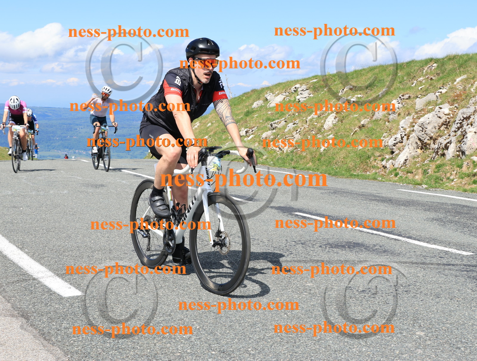 Col du Grand Colombier (910).JPG