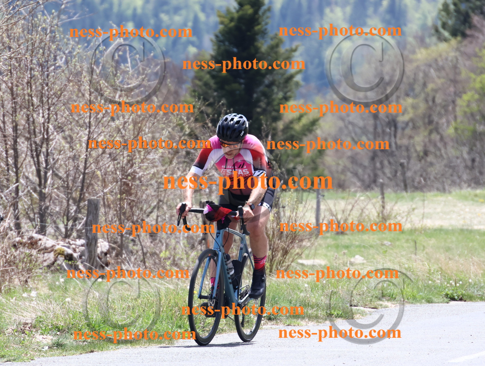 Col du Grand Colombier (659).JPG