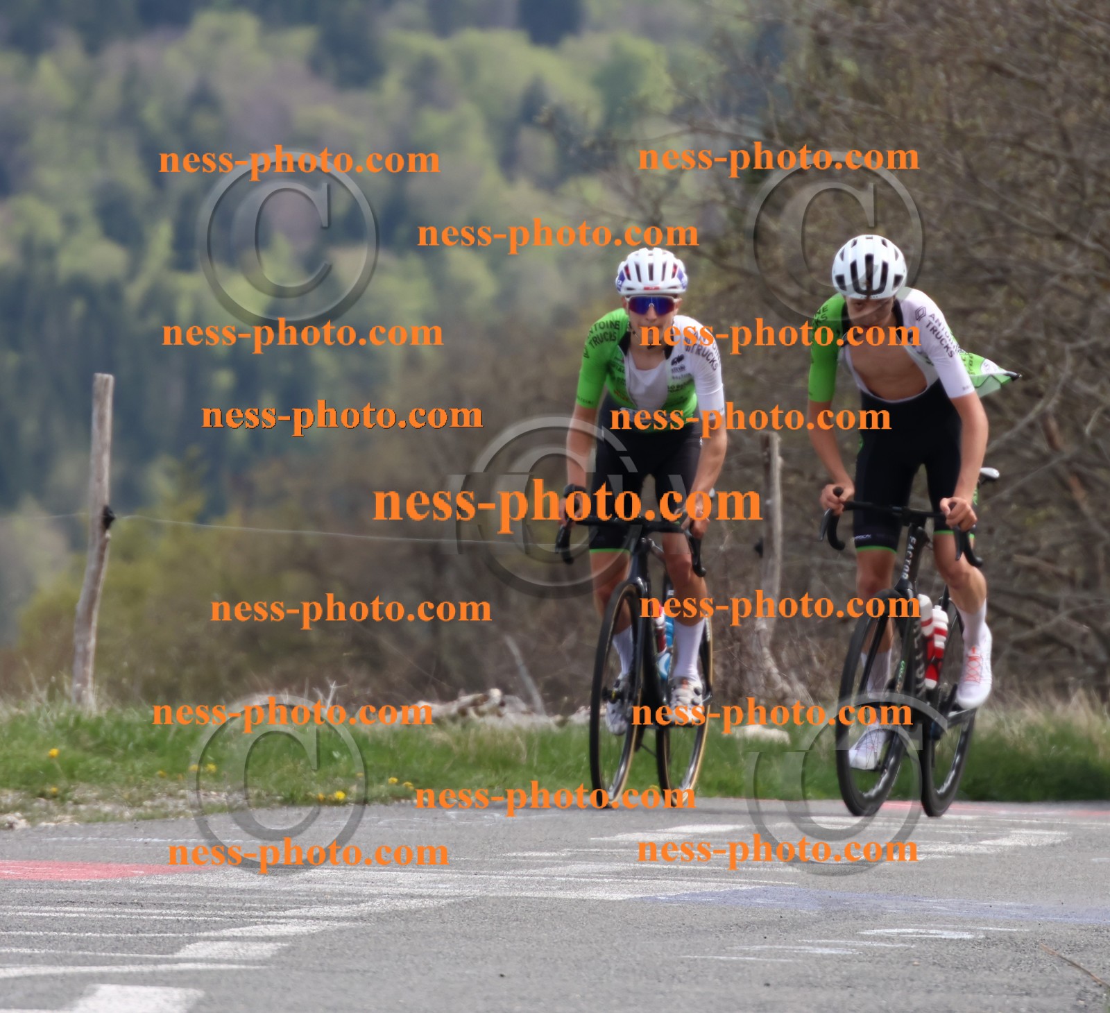 Col du Grand Colombier (1075).JPG