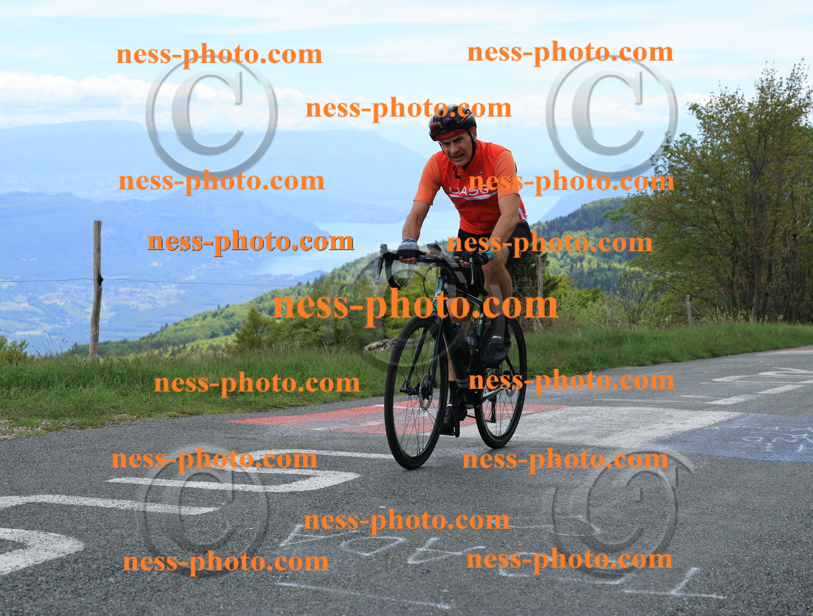 Col du Grand Colombier (615).JPG