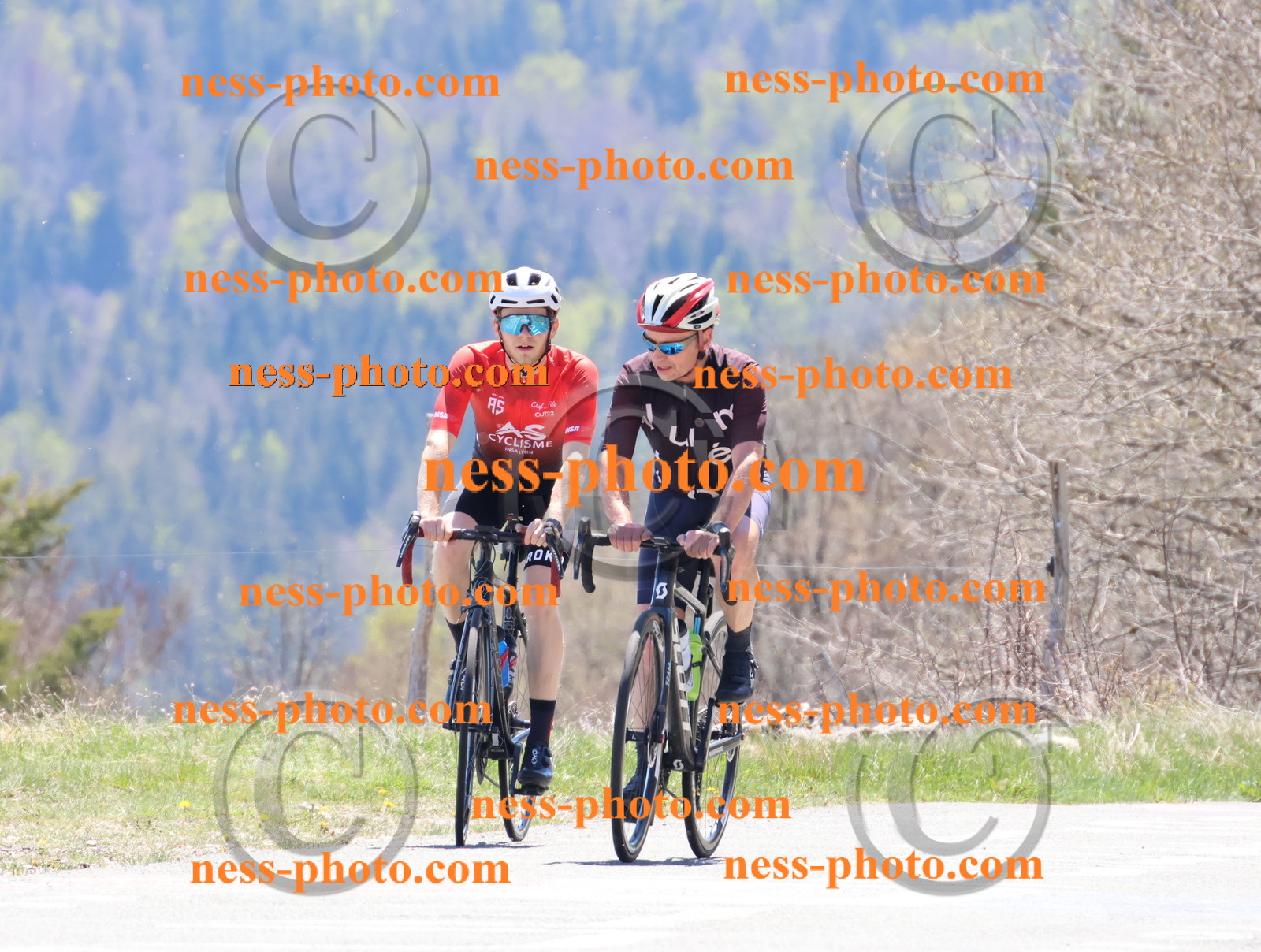 Col du Grand Colombier (597).JPG