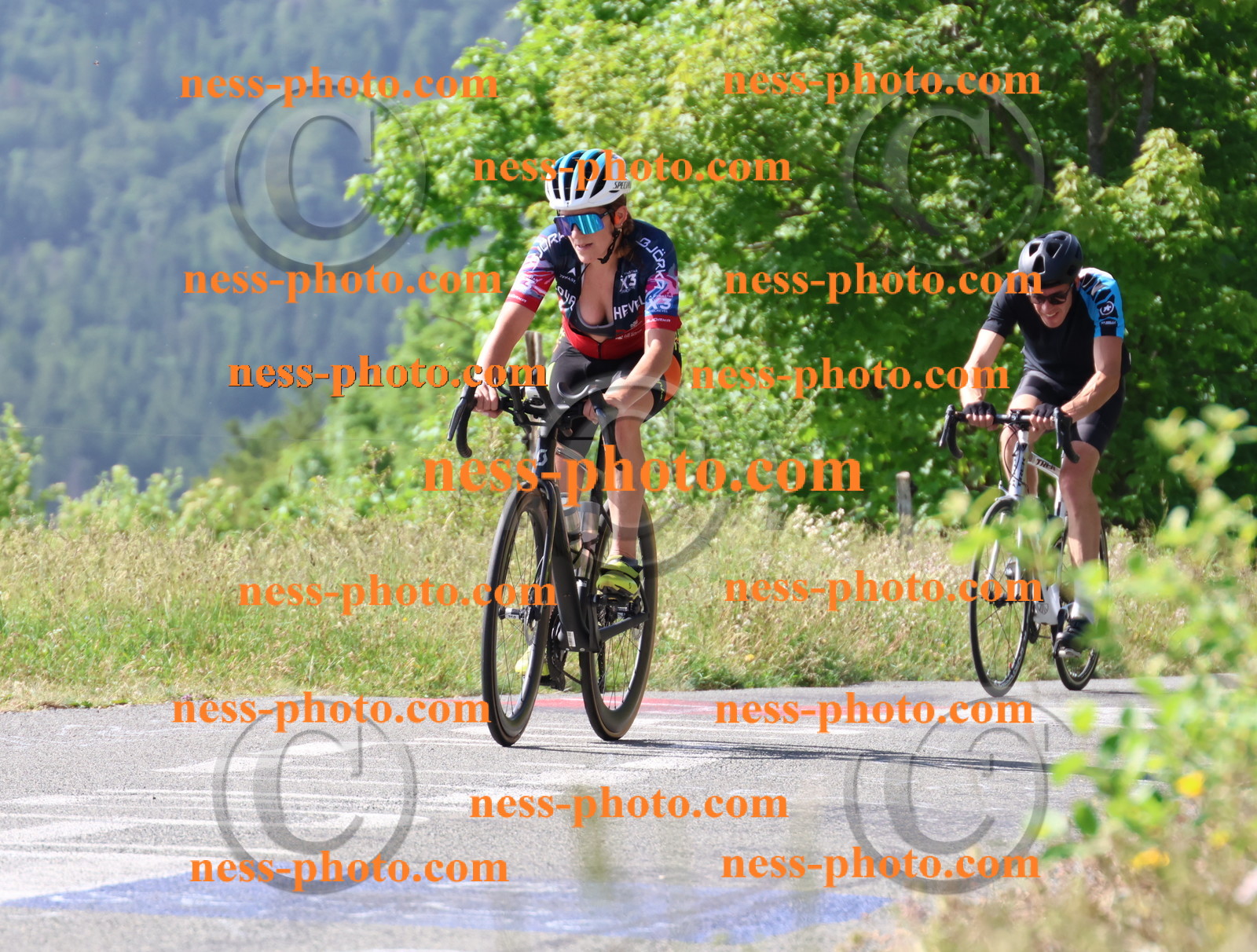 Col du grand Colombier (355).JPG
