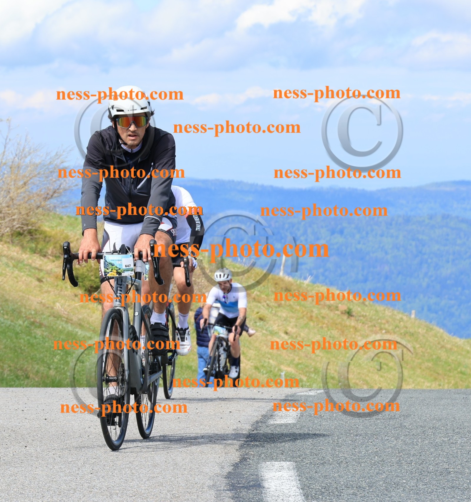 Col du Grand Colombier (895).JPG