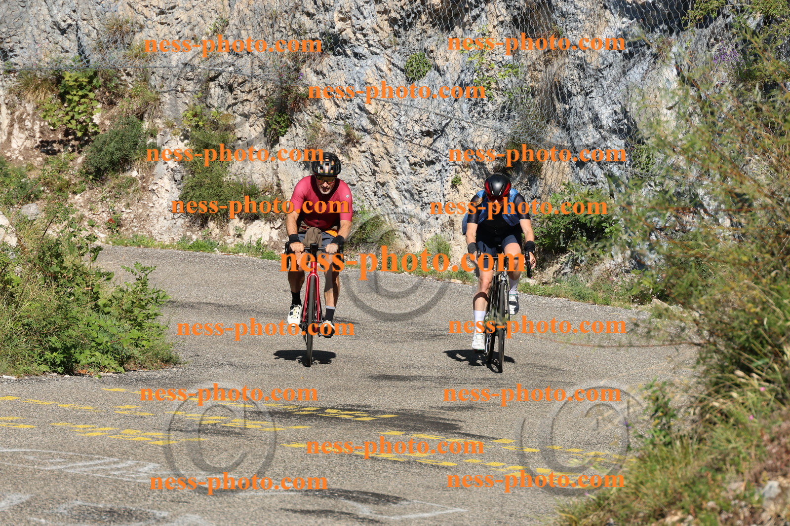 Col du Grand Colombier (119).JPG