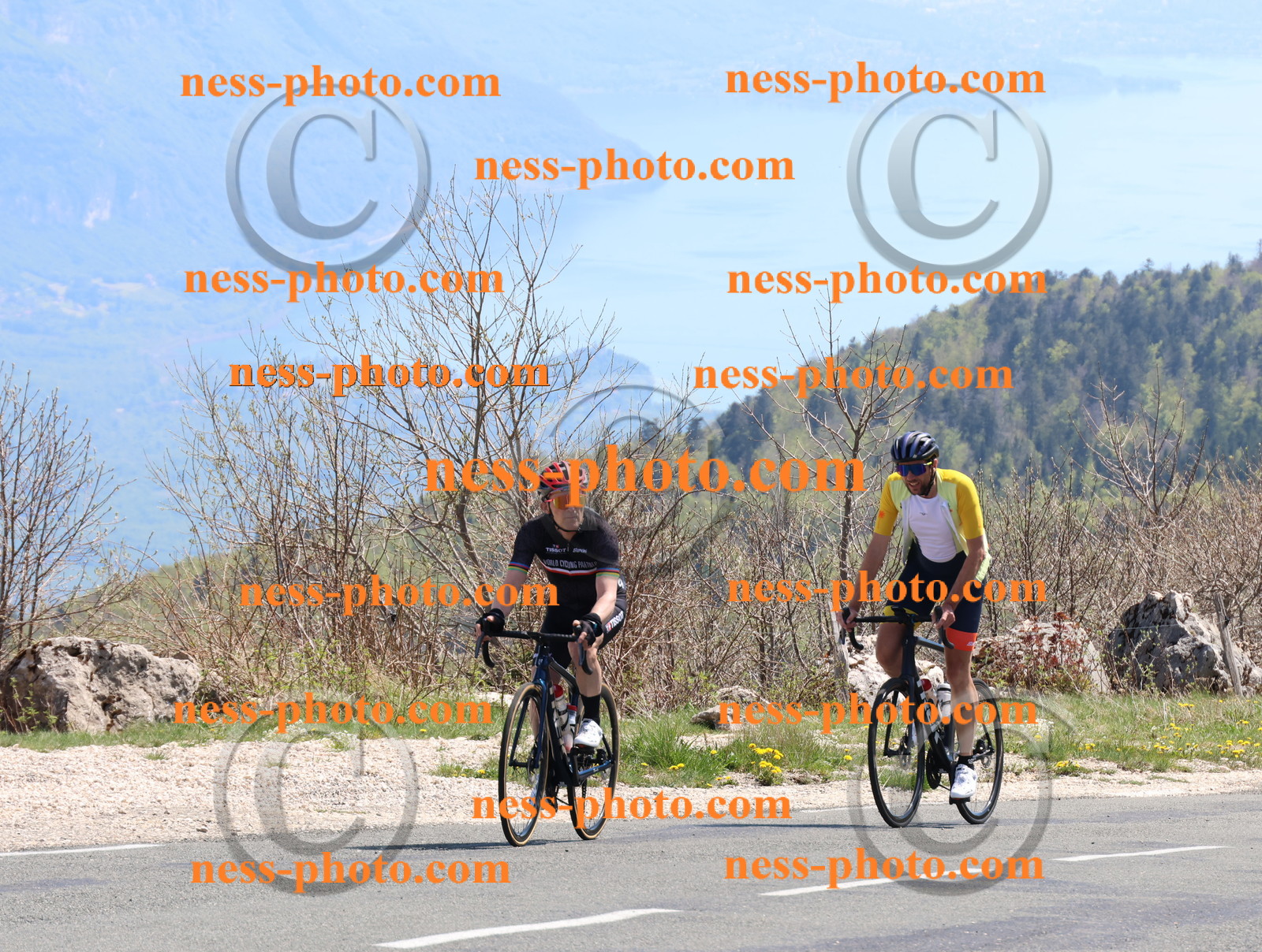 Col du Grand Colombier (868).JPG