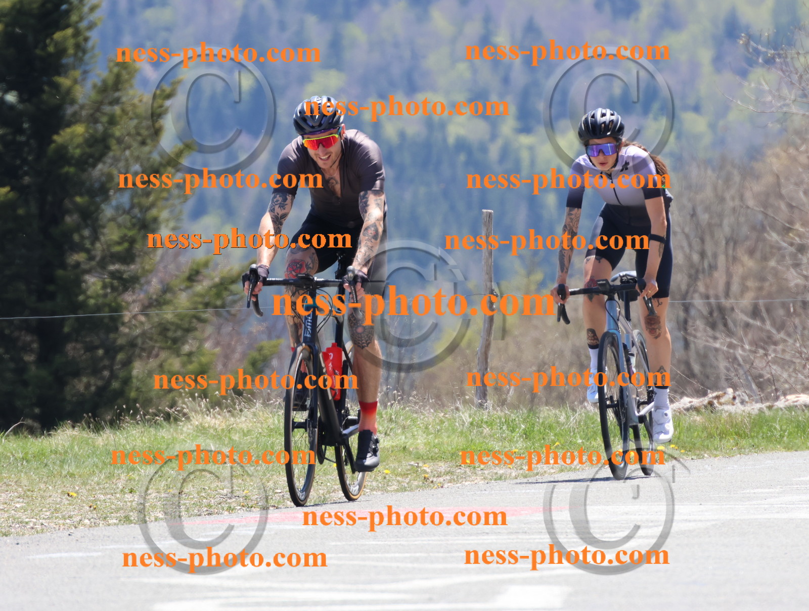 Col du Grand Colombier (756).JPG