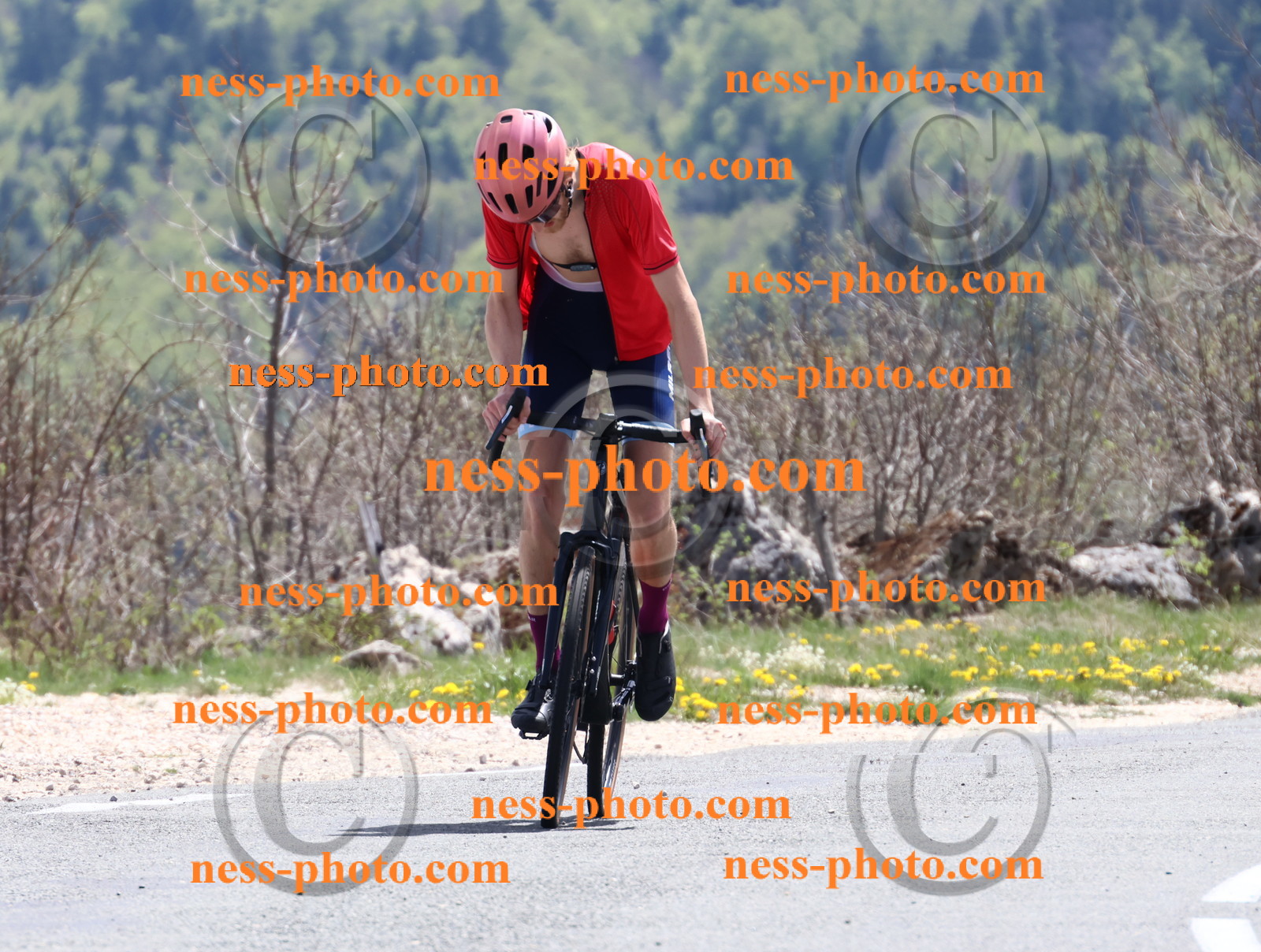 Col du Grand Colombier (697).JPG