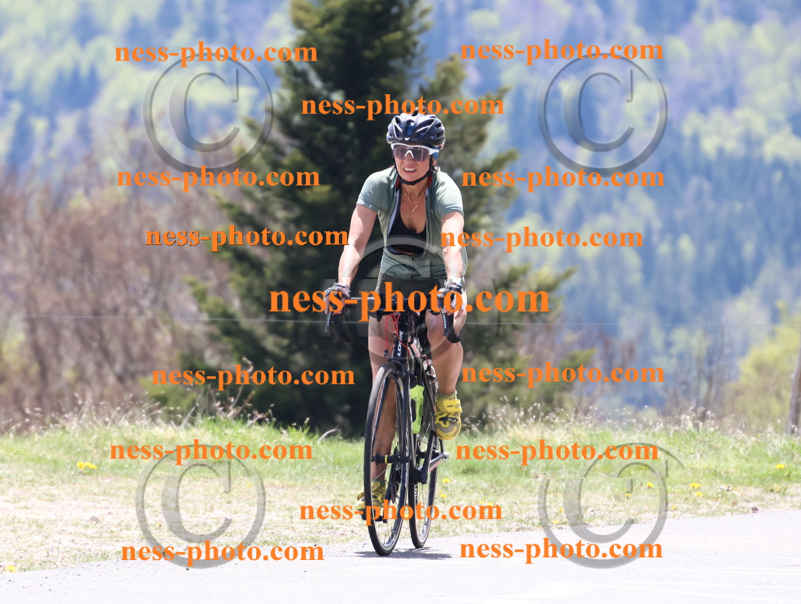 Col du Grand Colombier (495).JPG