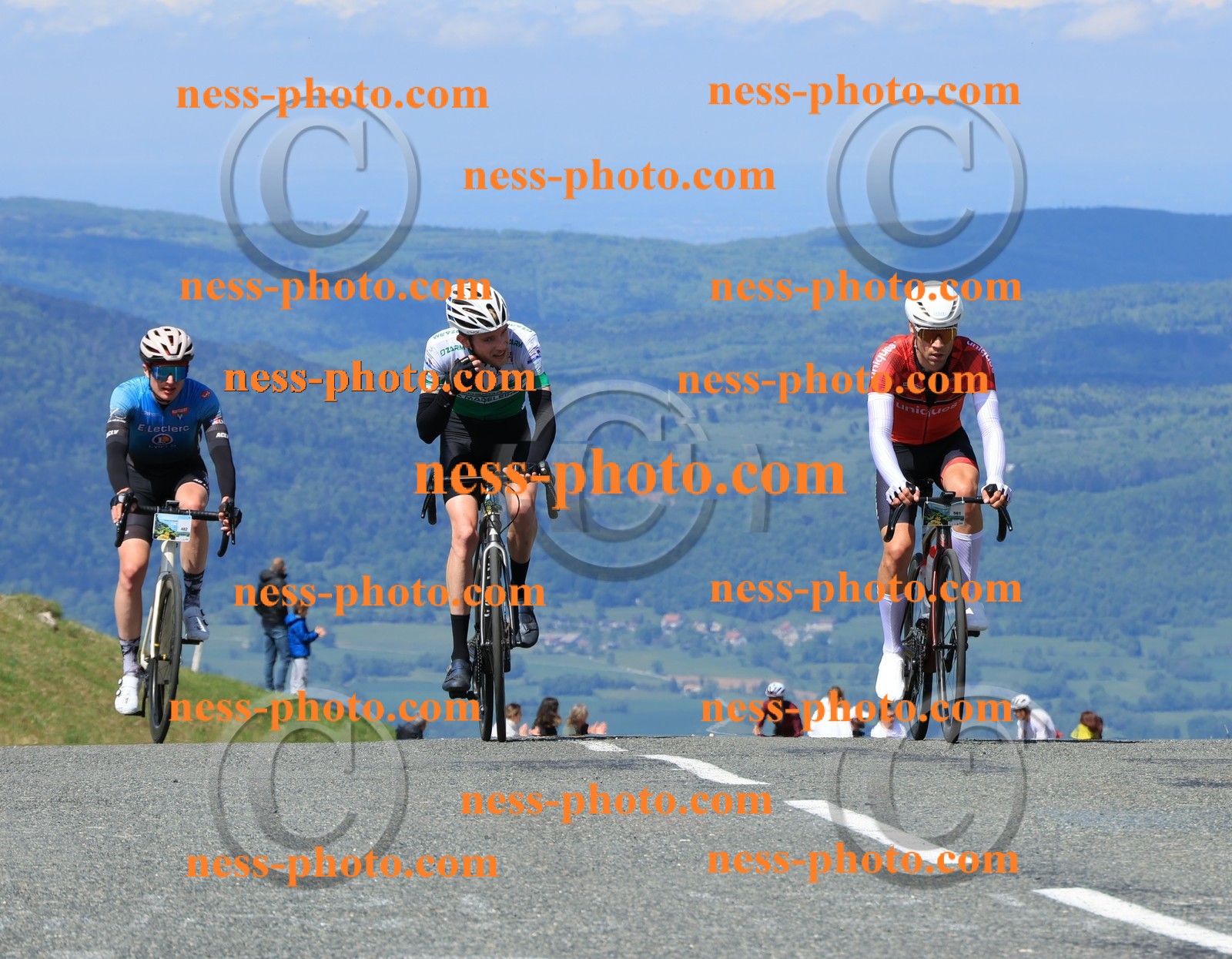 Col du Grand Colombier (1021).JPG