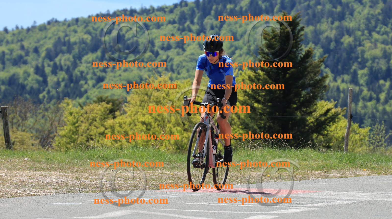 Col du grand Colombier (84).JPG