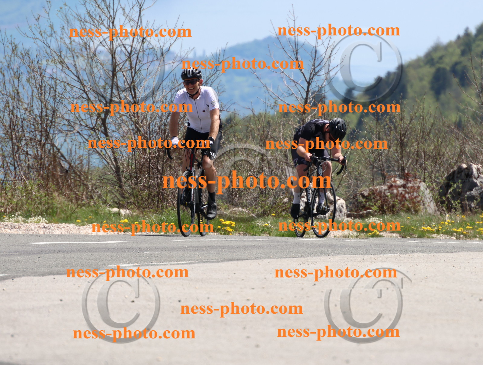 Col du Grand Colombier (796).JPG