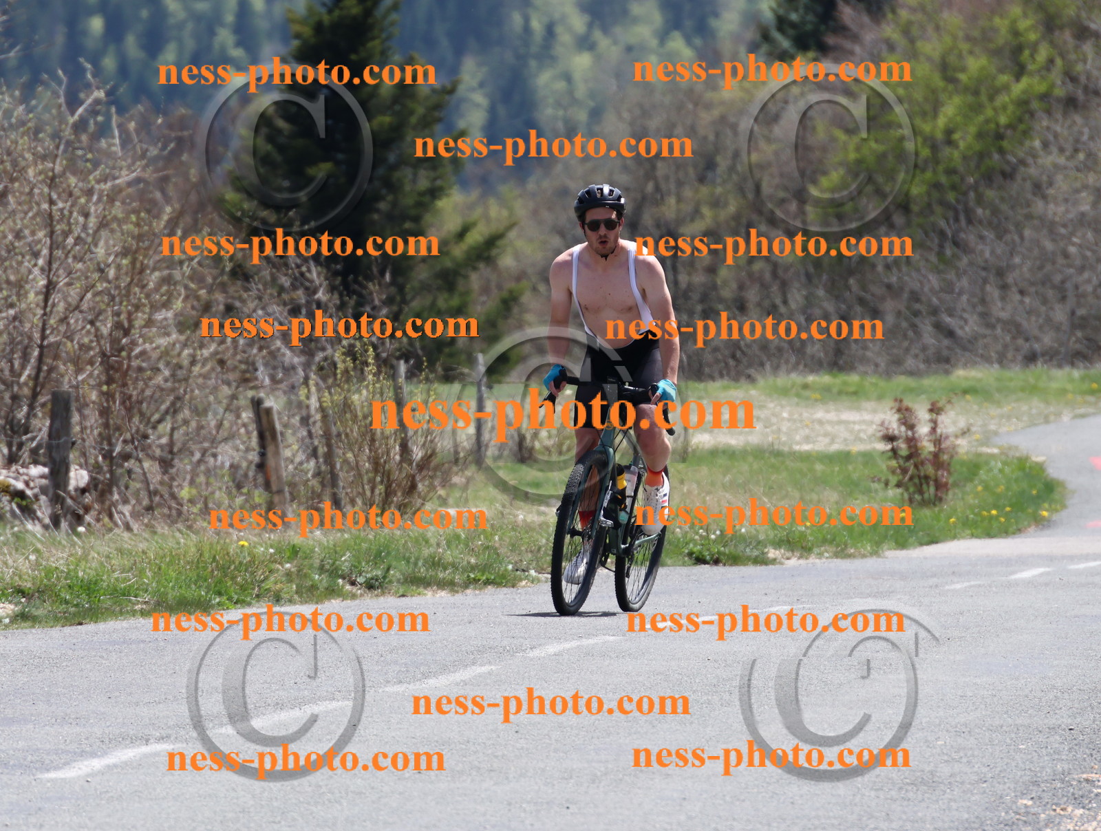 Col du Grand Colombier (820).JPG