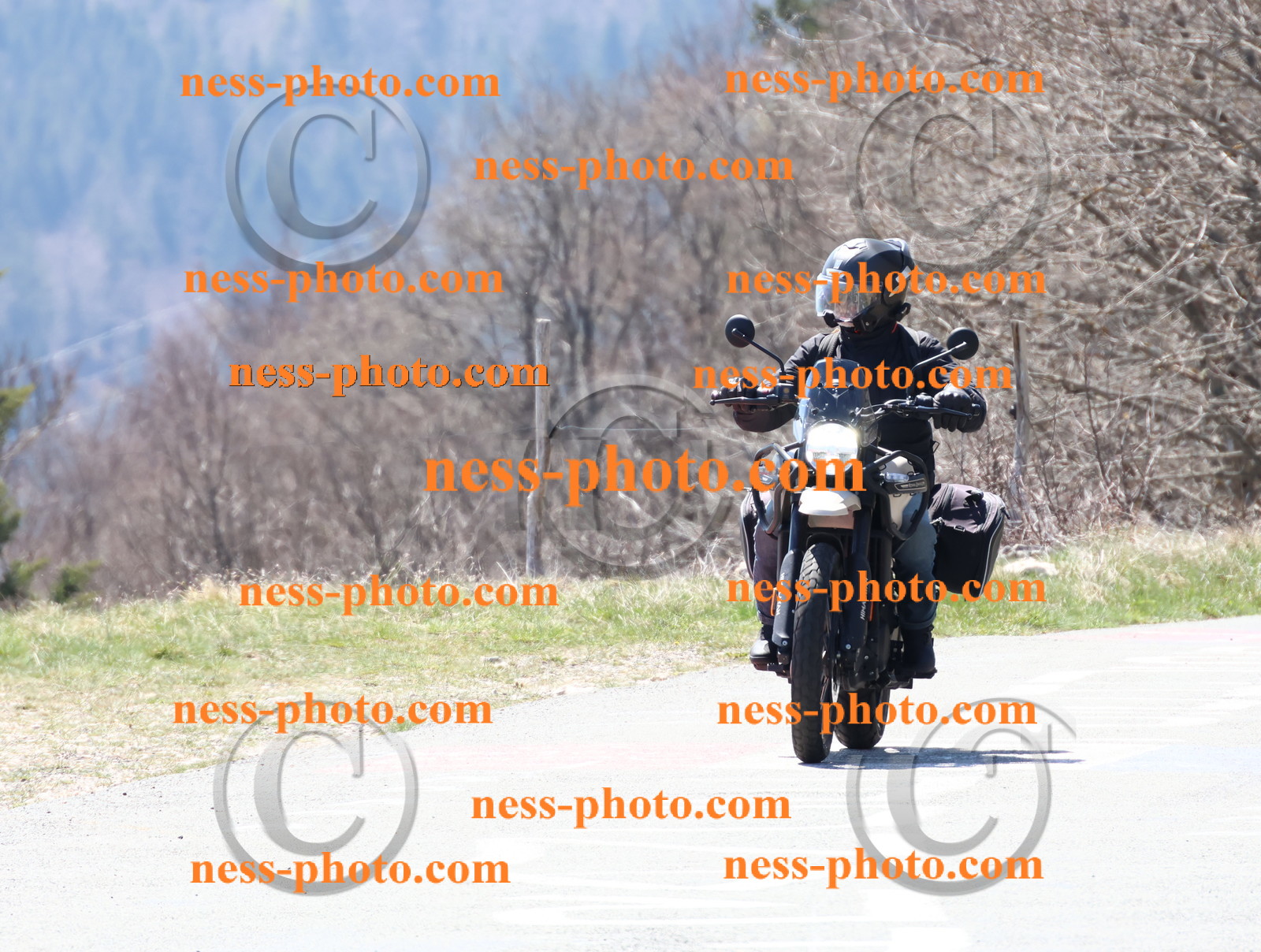 Col  du Grand Colombier (9).JPG