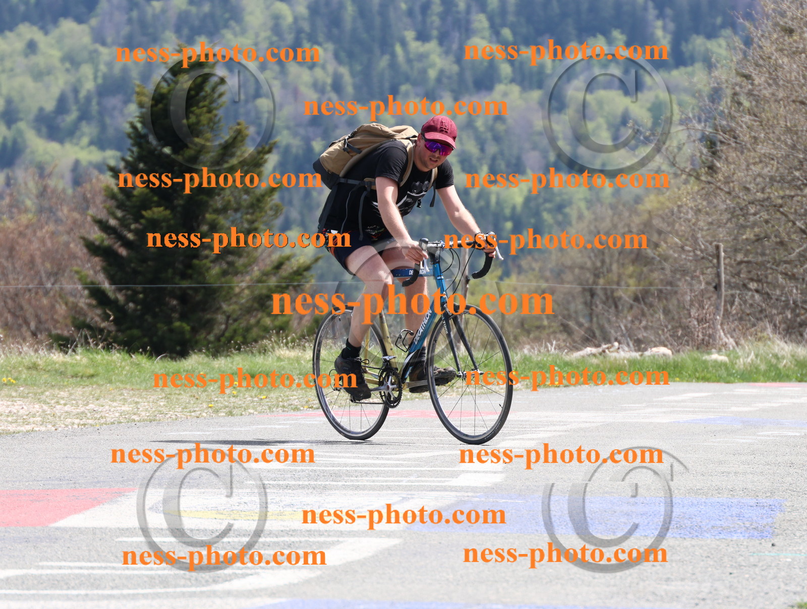 Col du Grand Colombier (969).JPG