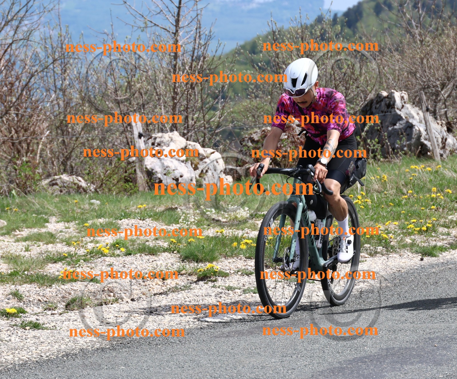 Col du Grand Colombier (990).JPG