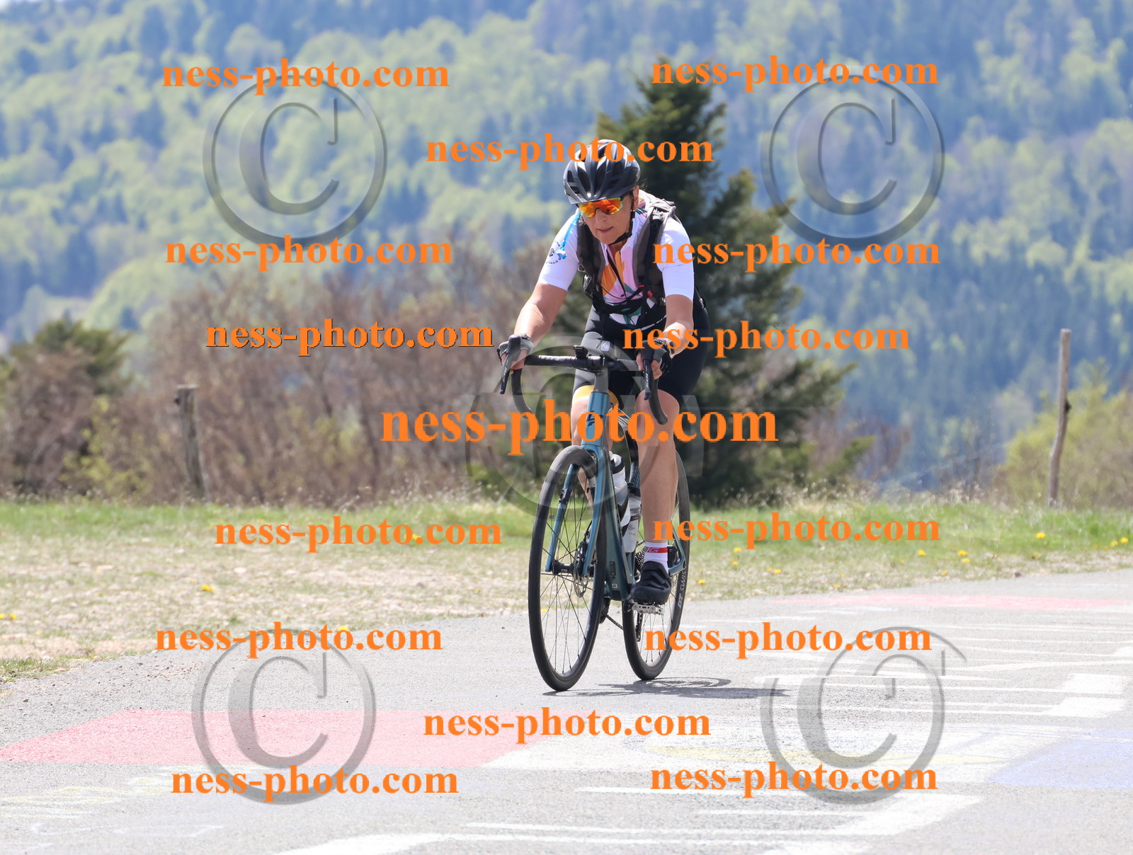 Col du Grand Colombier (142).JPG