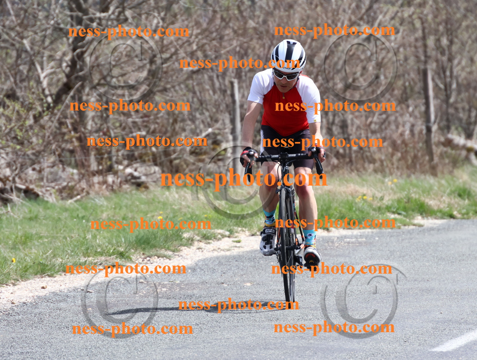 Col du Grand Colombier (976).JPG