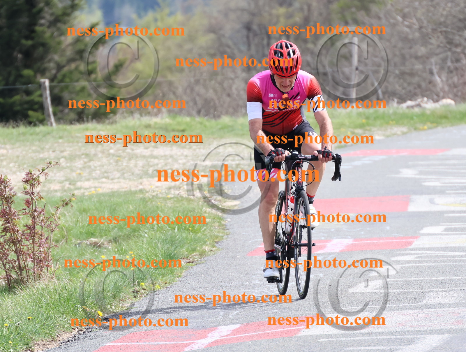 Col du Grand Colombier (1019).JPG