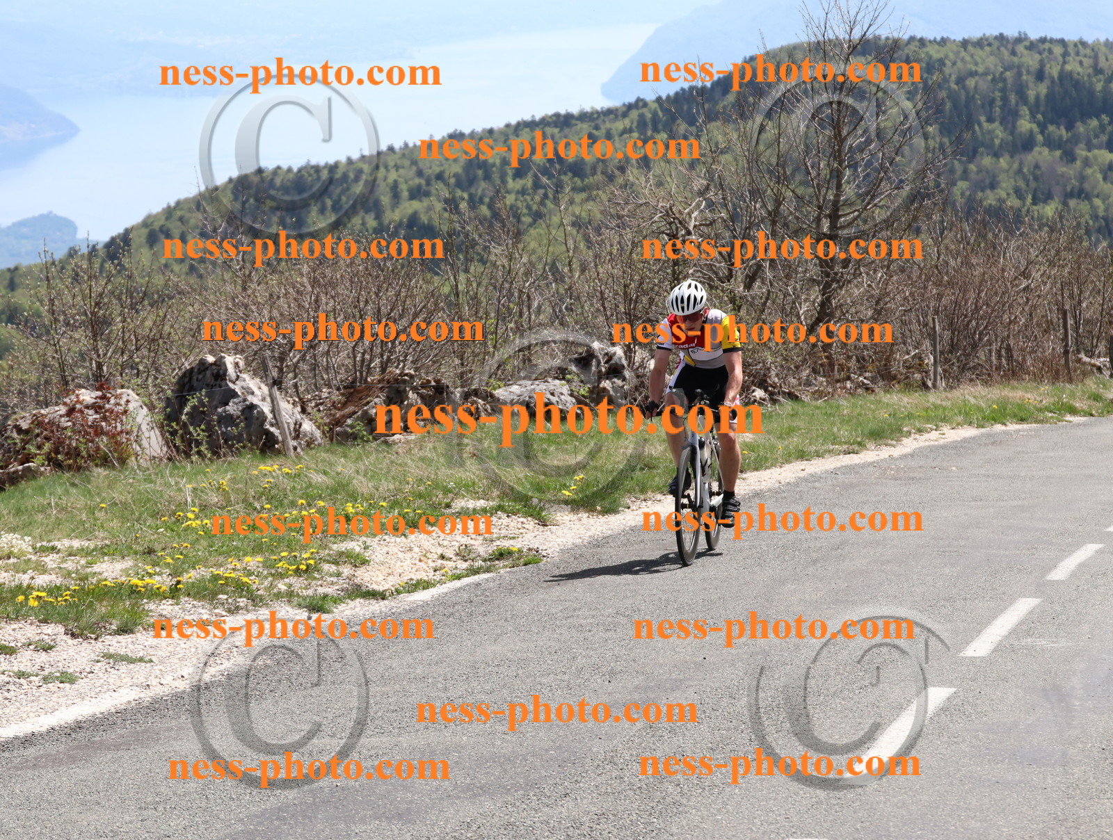 Col du Grand Colombier (851).JPG