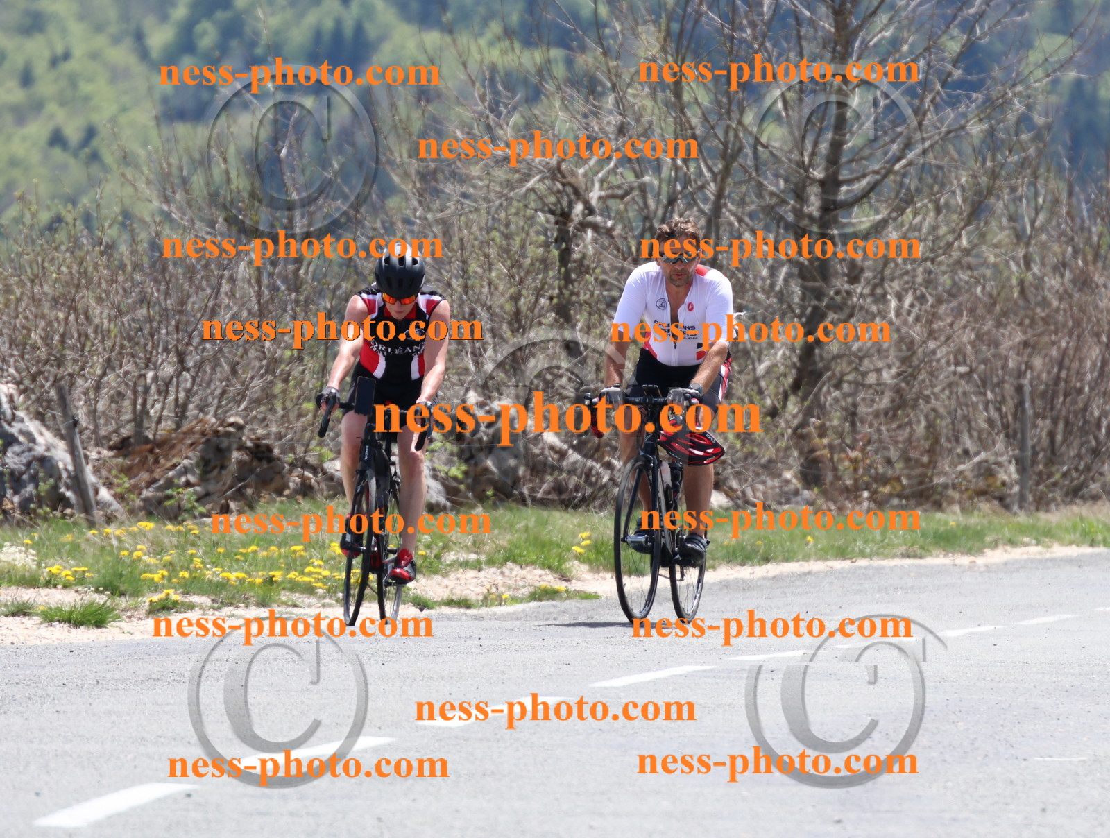 Col du Grand Colombier (721).JPG