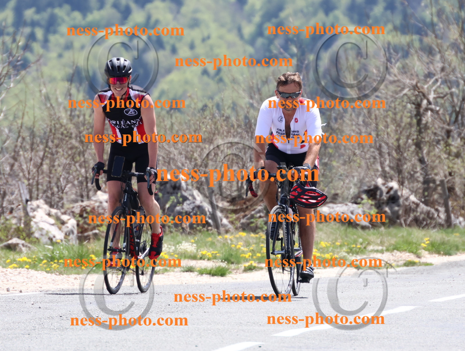 Col du Grand Colombier (726).JPG