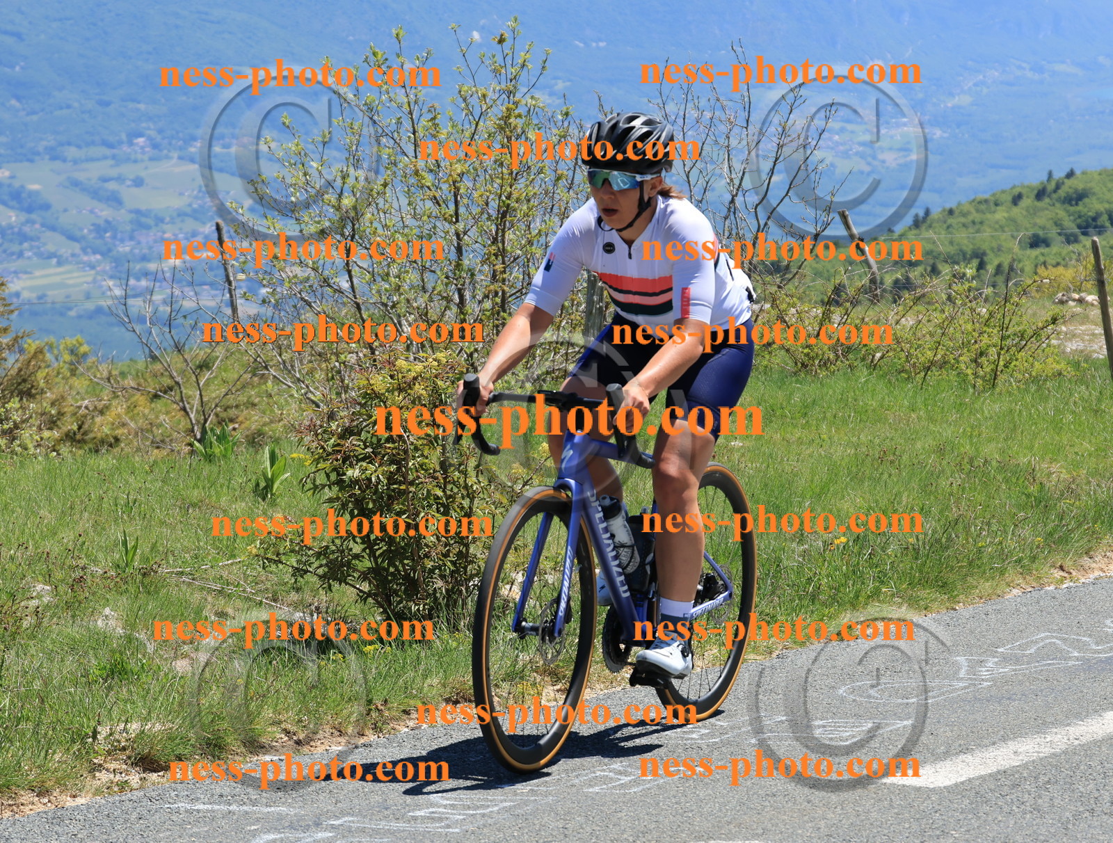 Col du Grand Colombier (453).JPG