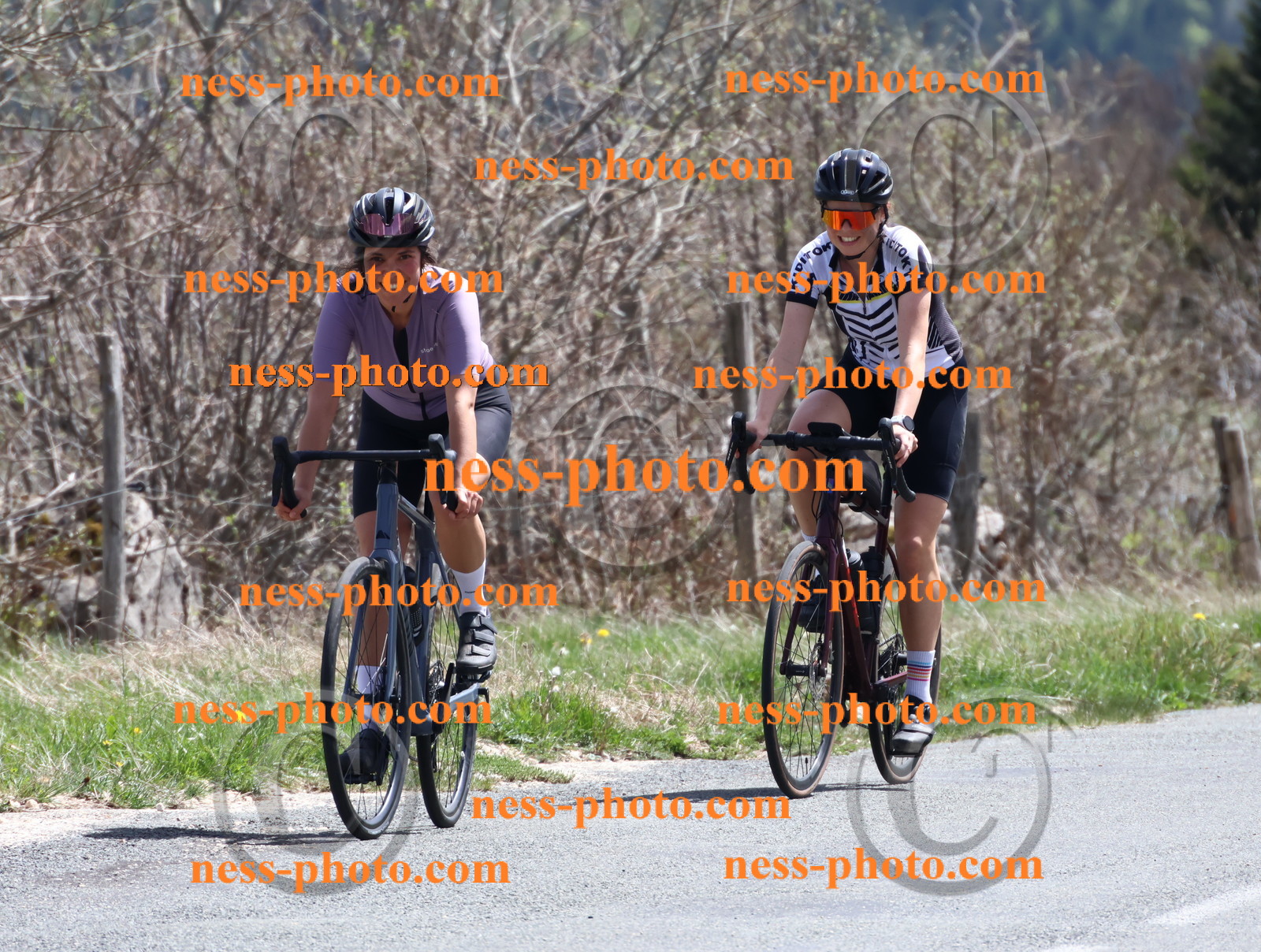 Col du Grand Colombier (863).JPG