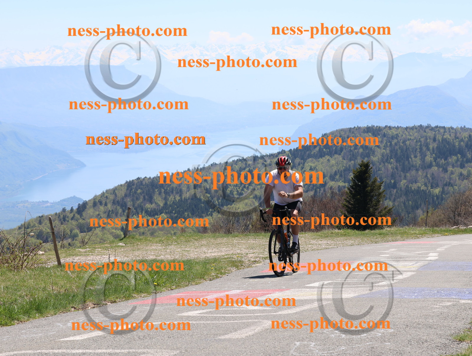 Col du Grand Colombier (749).JPG