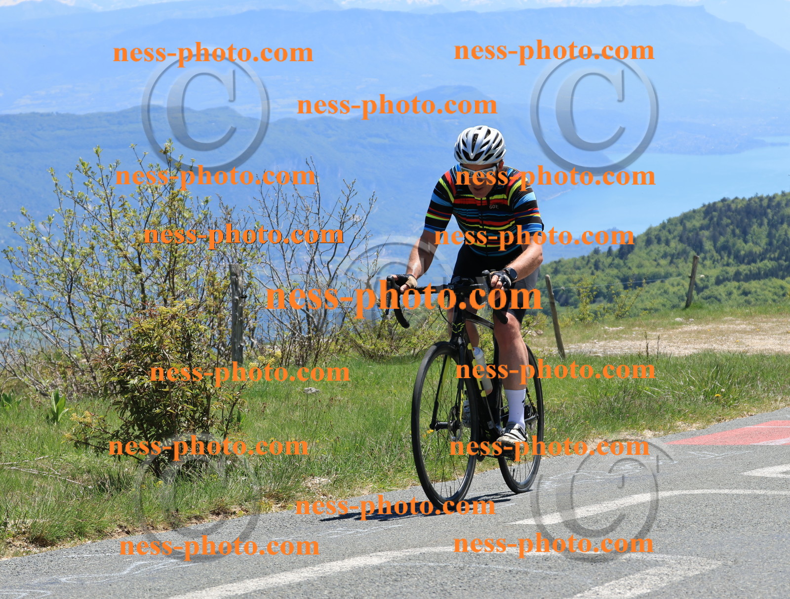 Col du Grand Colombier (432).JPG